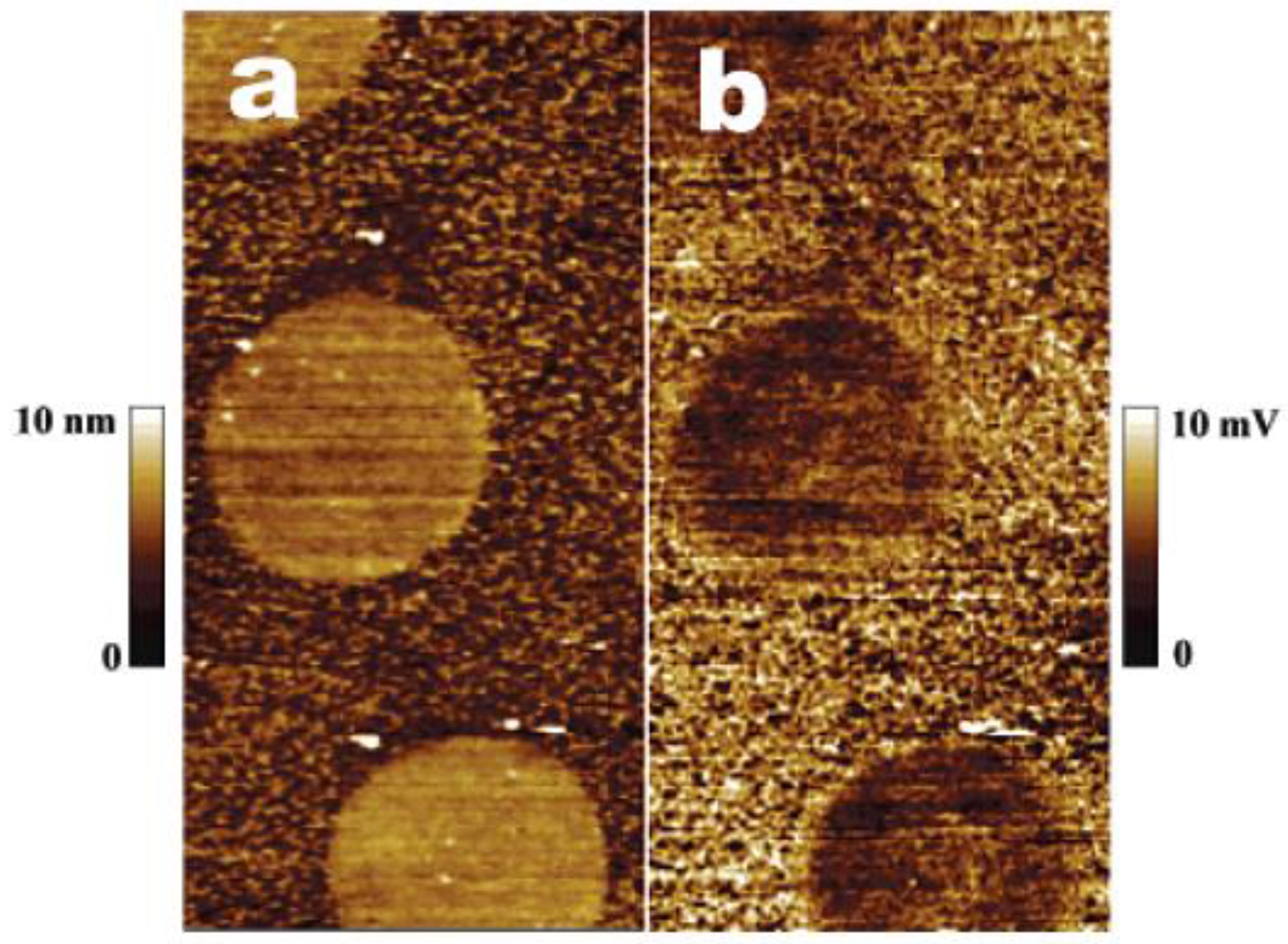 Membranes 13 00532 g007