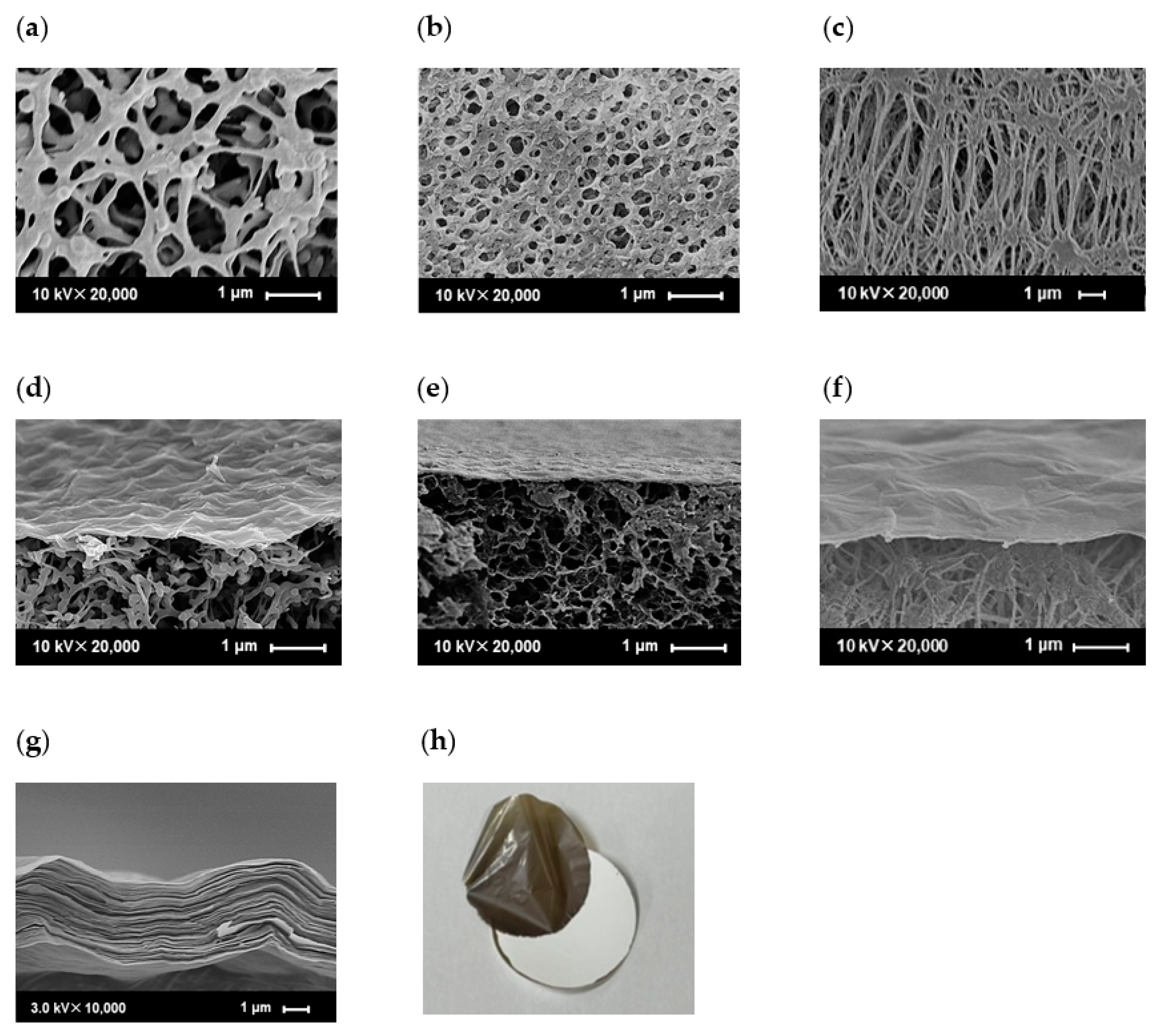 Membranes 13 00533 g005