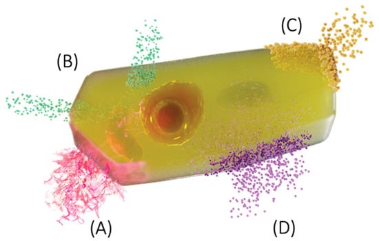 Membranes 13 00547 g001