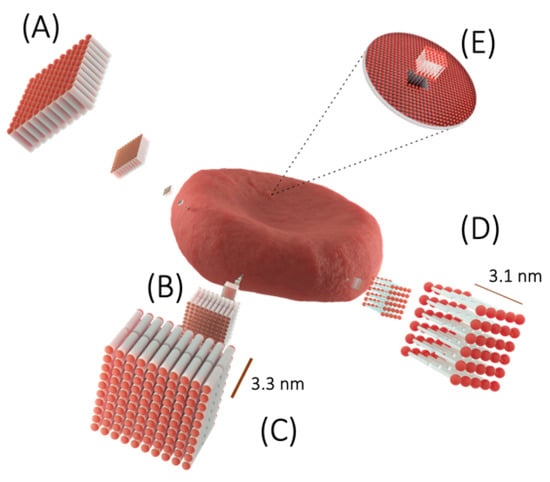 Membranes 13 00547 g002