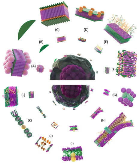 Membranes 13 00547 g003