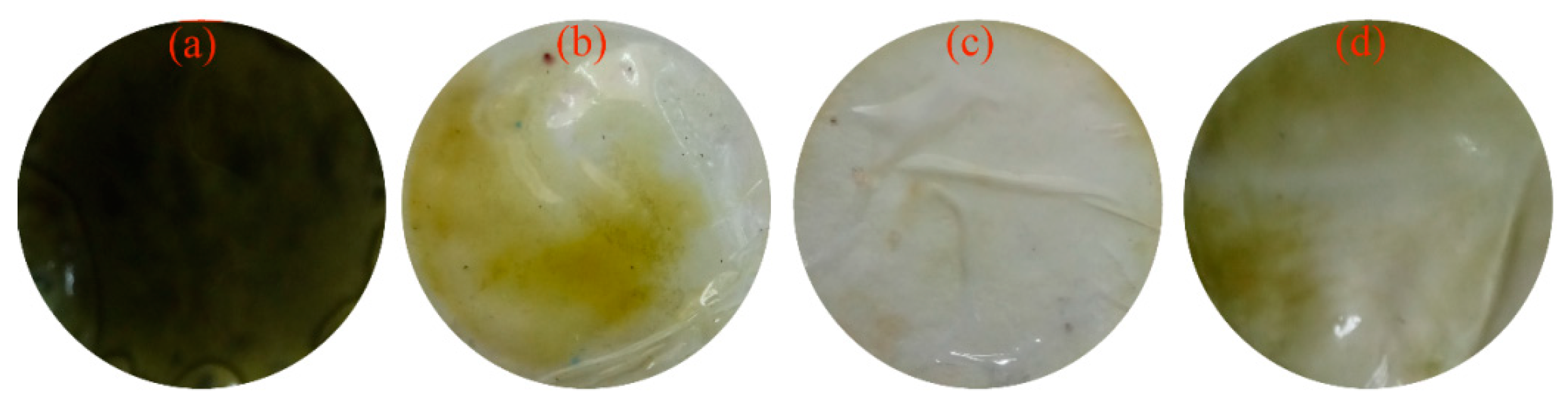 Membranes 13 00550 g003 Membranes 13 00550 g003