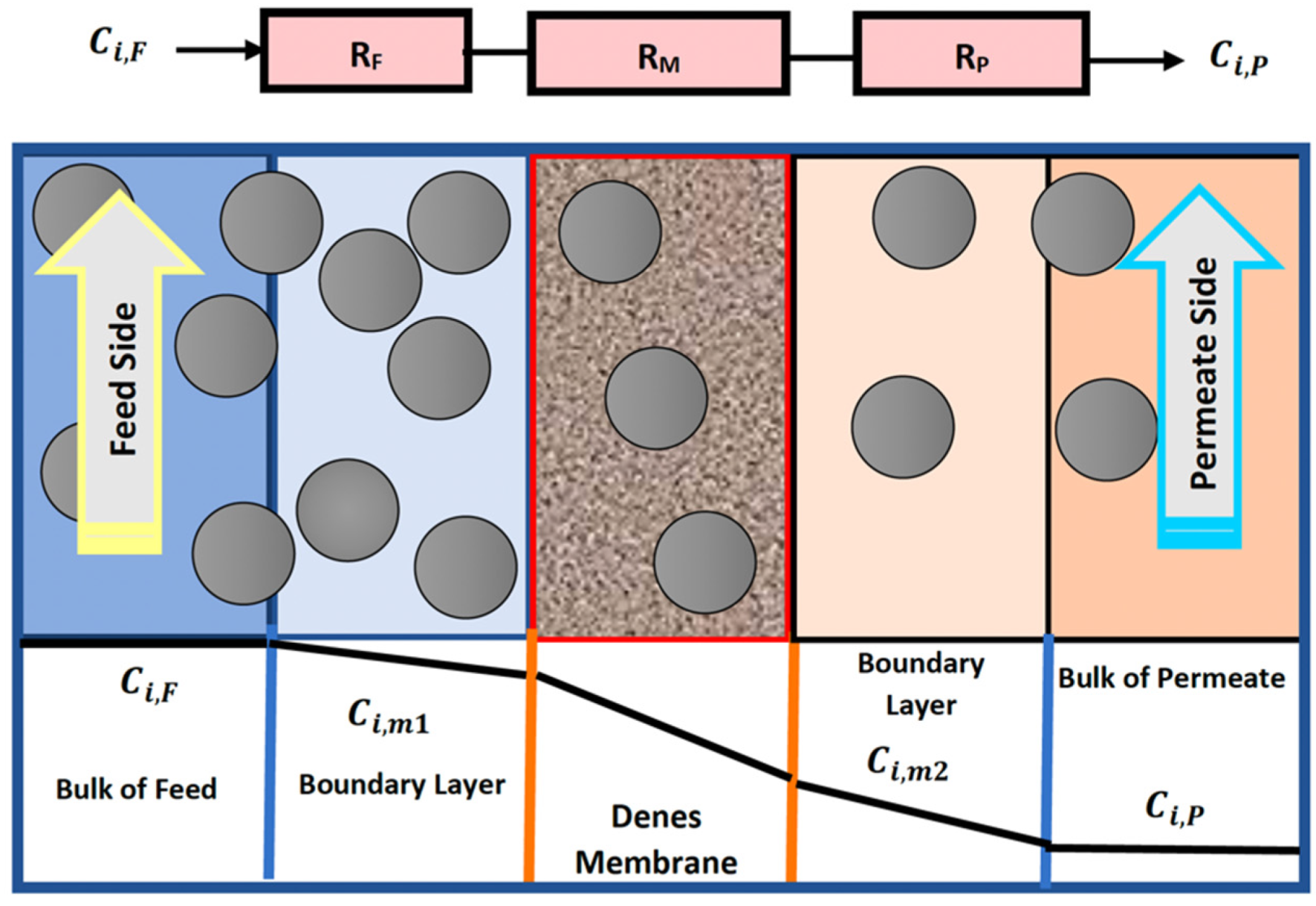 Membranes 13 00557 g001