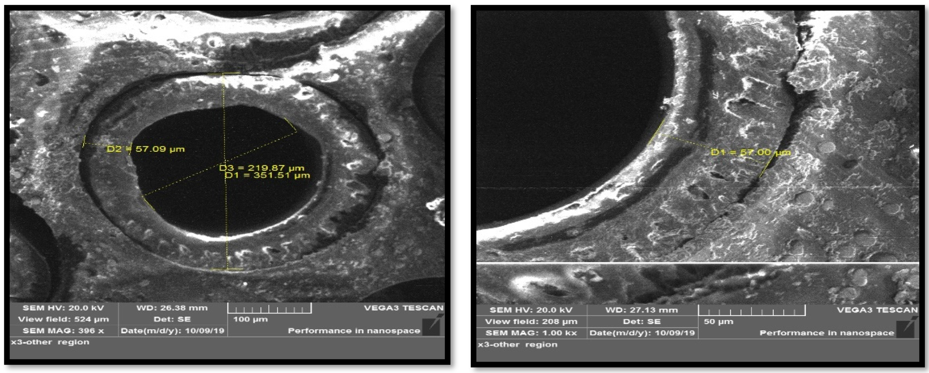 Membranes 13 00557 g005