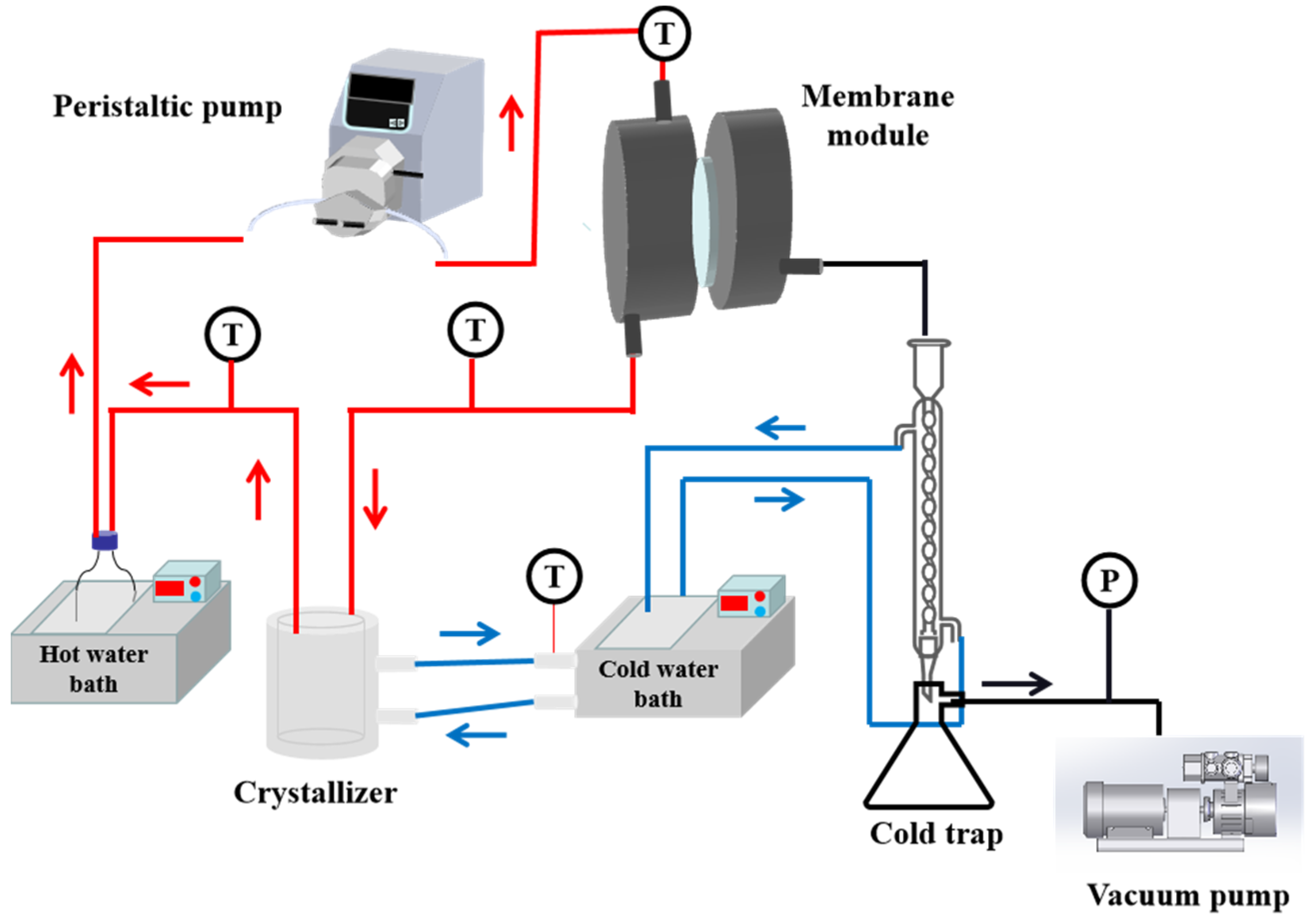 Membranes 13 00561 g001