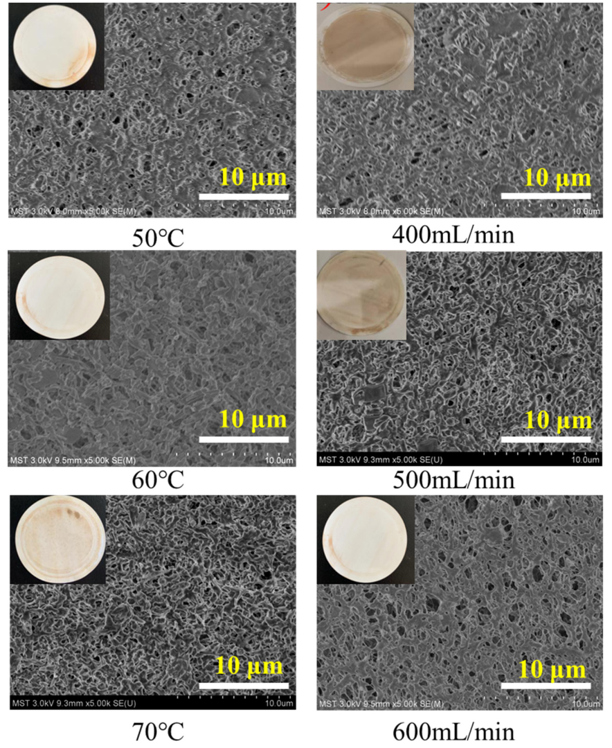 Membranes 13 00561 g003