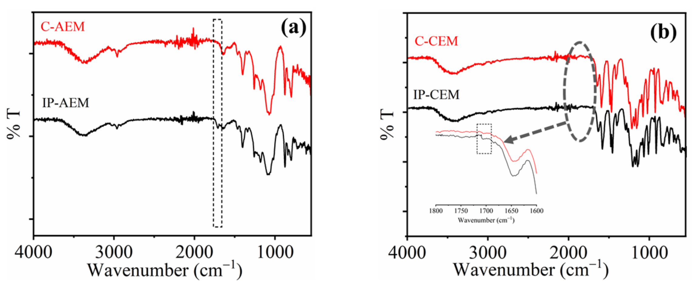 Membranes 13 00562 g001