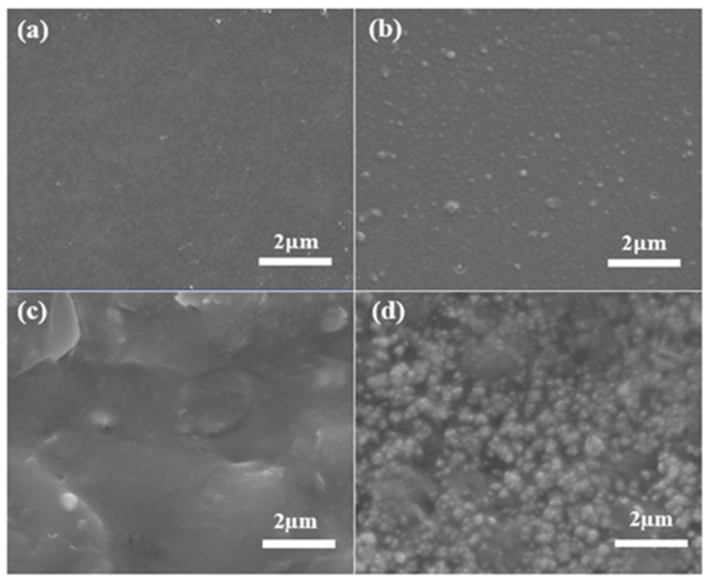 Membranes 13 00562 g002