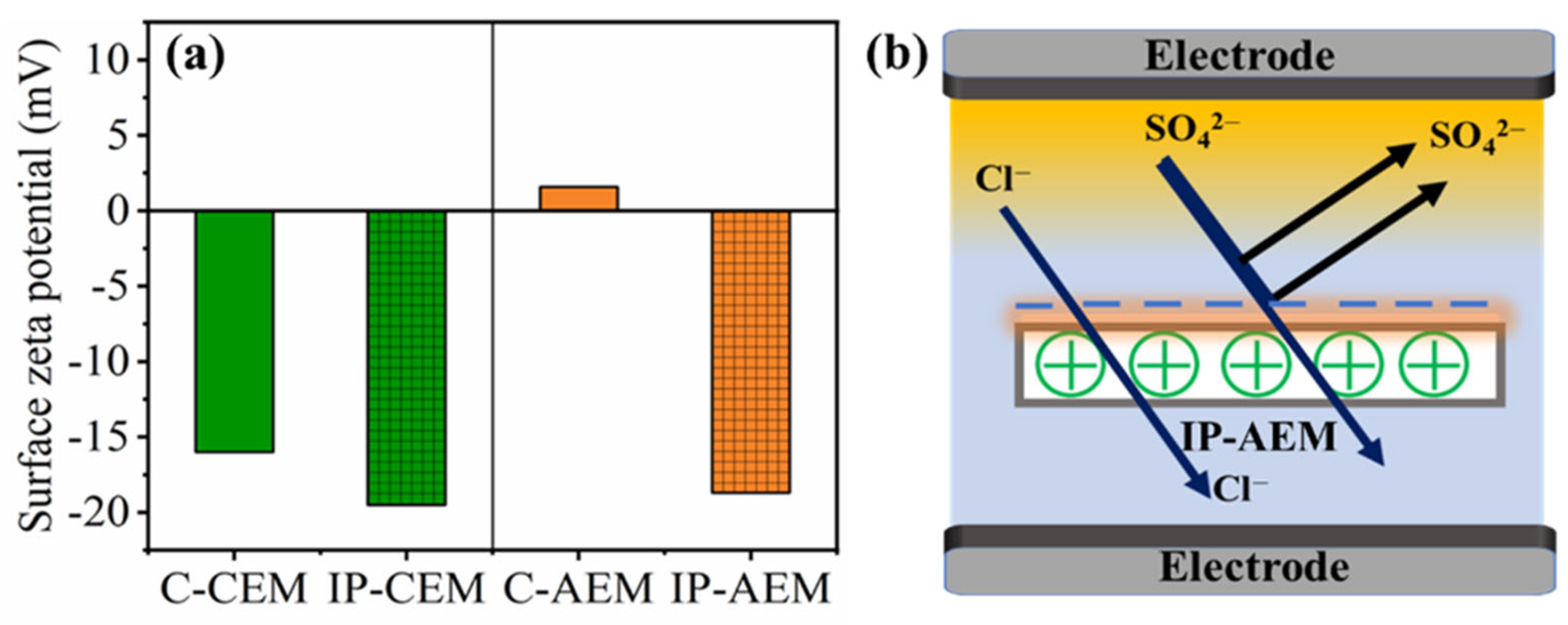 Membranes 13 00562 g003