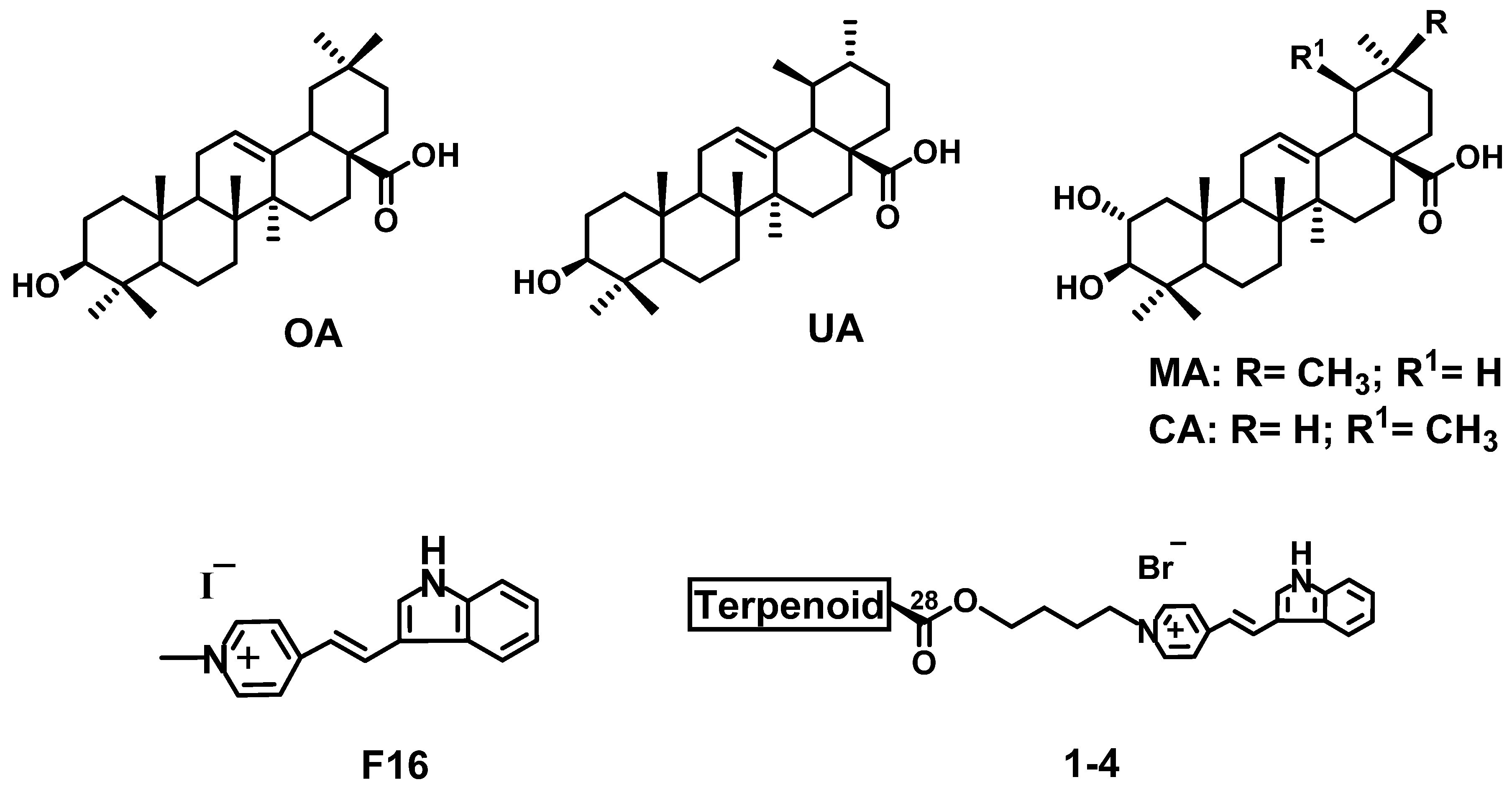 Membranes 13 00563 g001