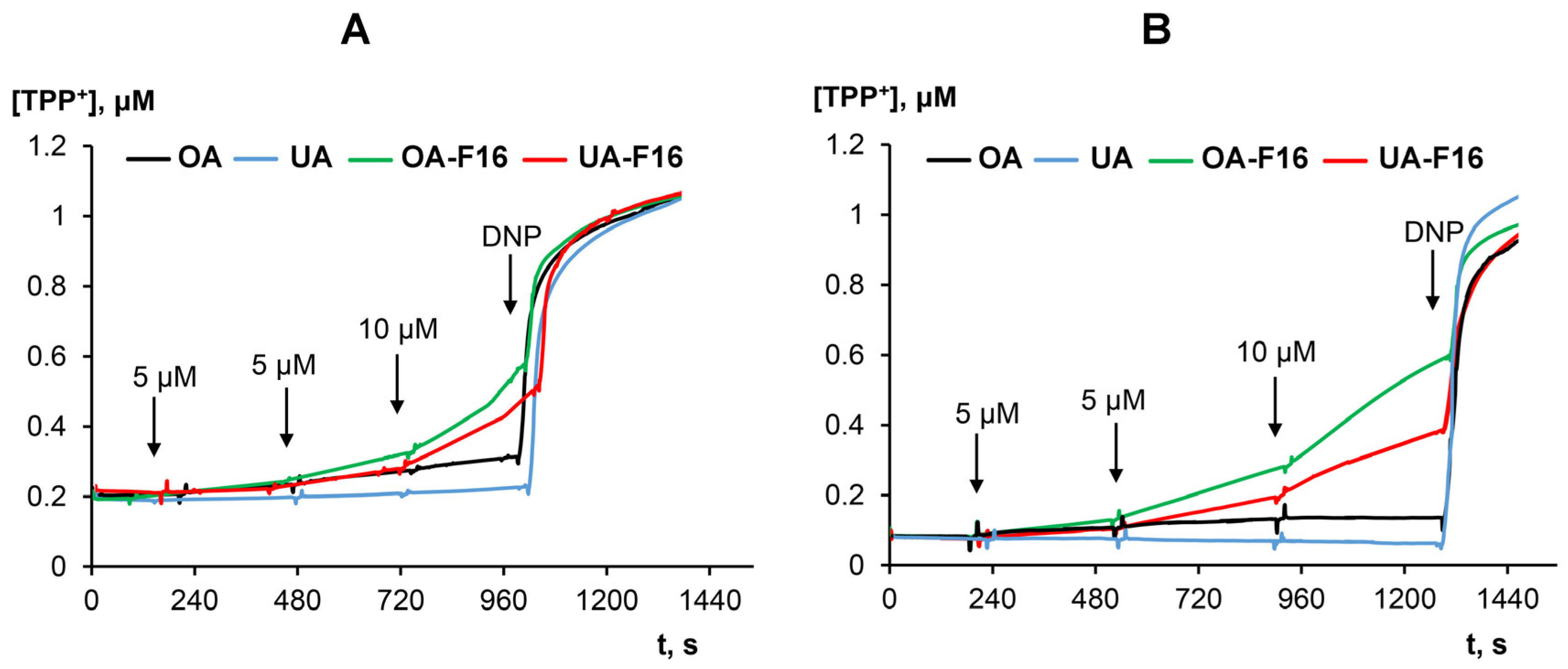 Membranes 13 00563 g005