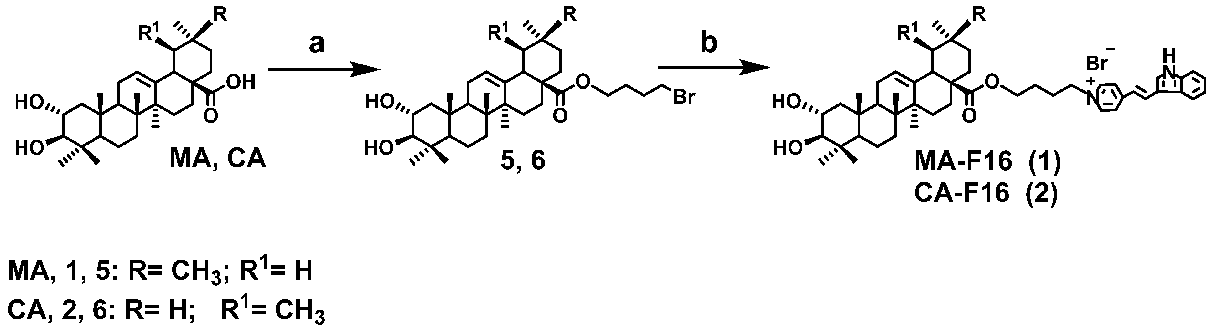 Membranes 13 00563 sch001