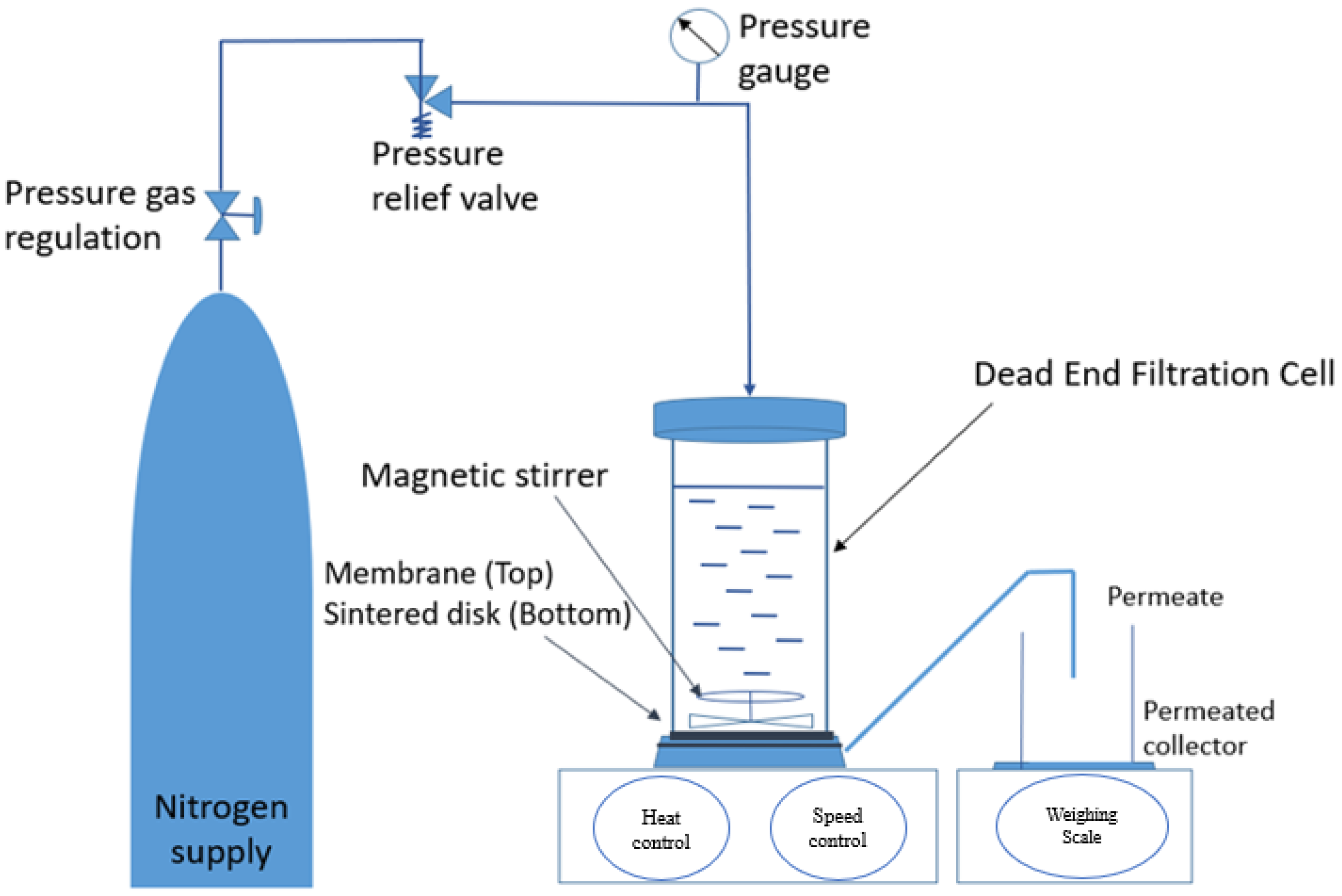 Membranes 13 00565 g002