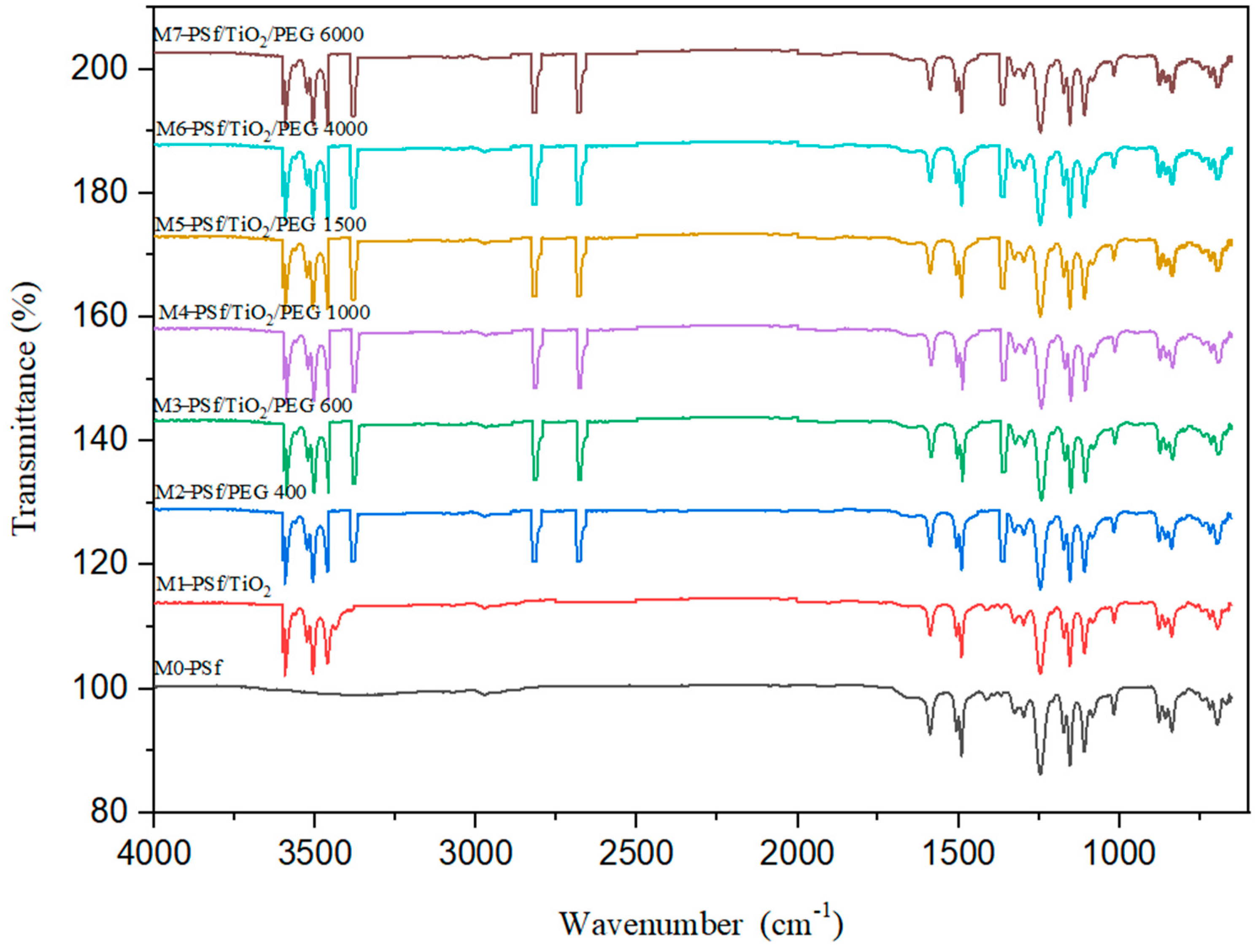 Membranes 13 00565 g003