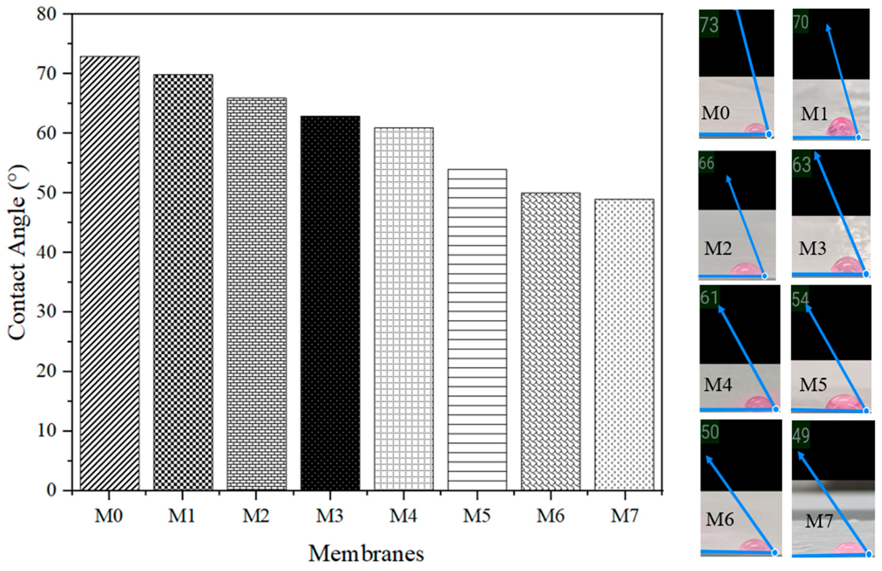 Membranes 13 00565 g006