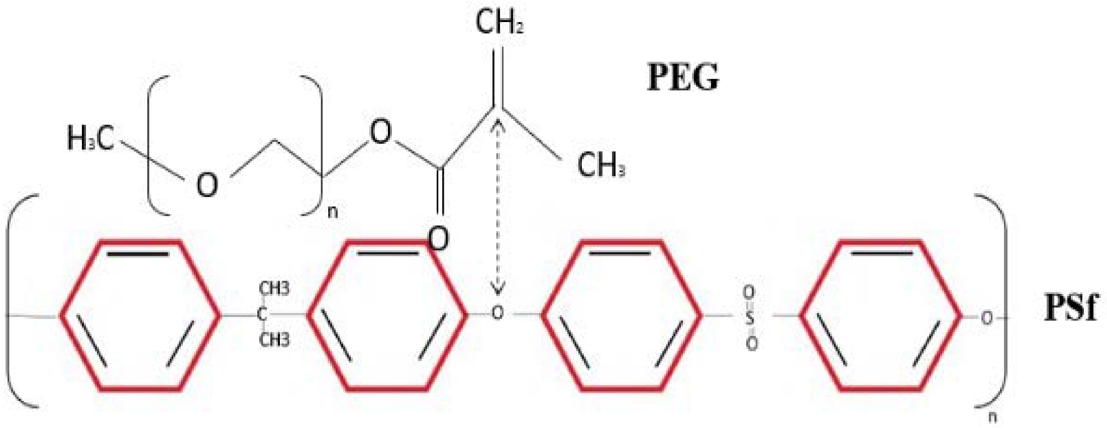 Membranes 13 00565 i001