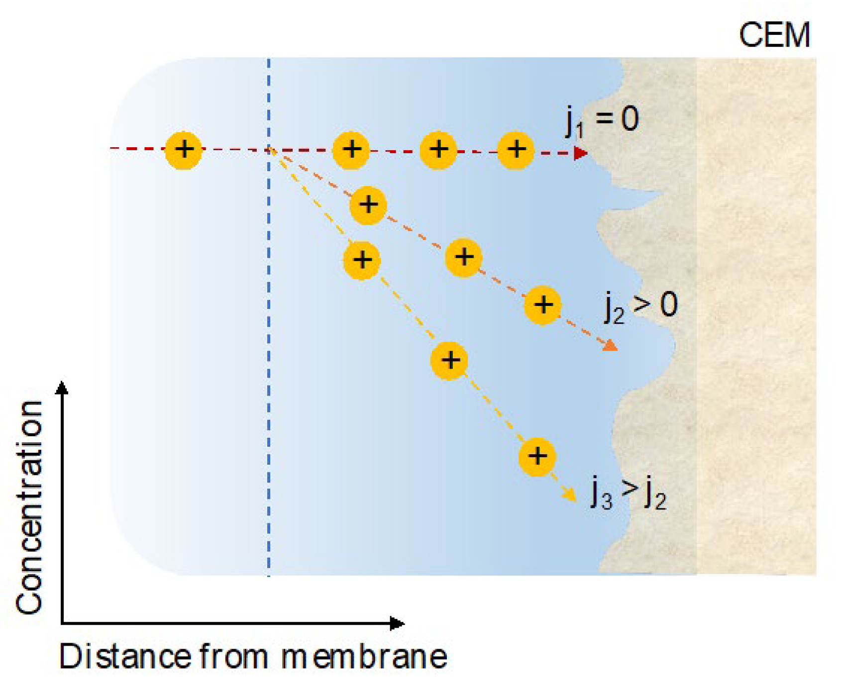 Membranes 13 00566 g007 Membranes 13 00566 g007