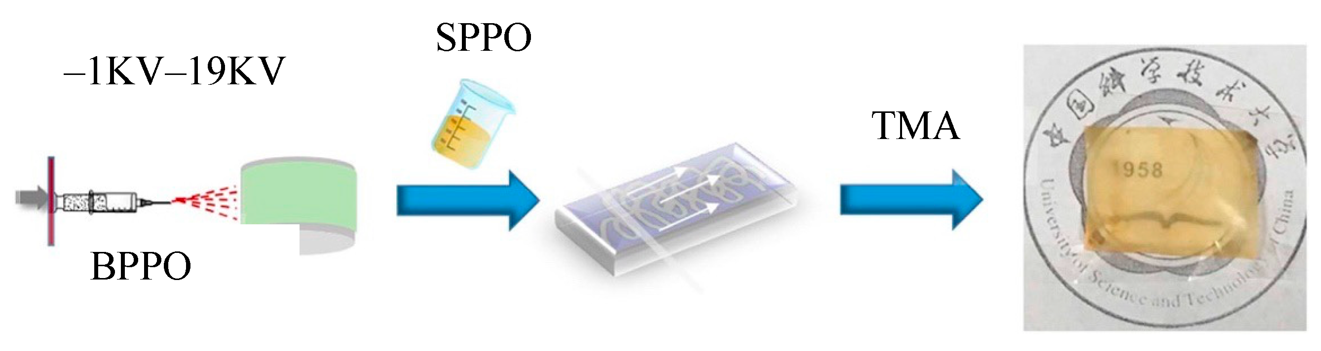 Membranes 13 00566 g015 Membranes 13 00566 g015