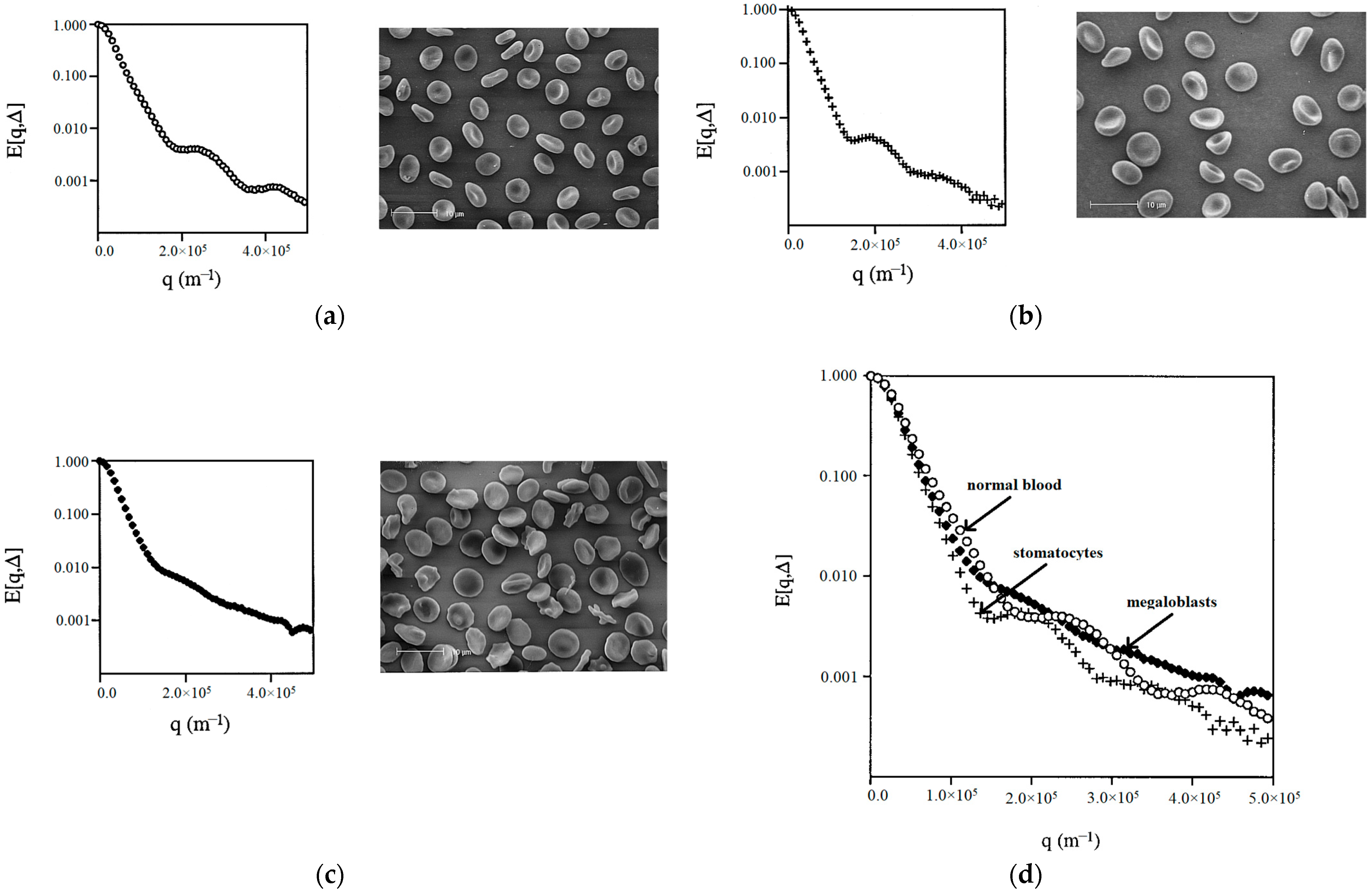 Membranes 13 00567 g008 Membranes 13 00567 g008