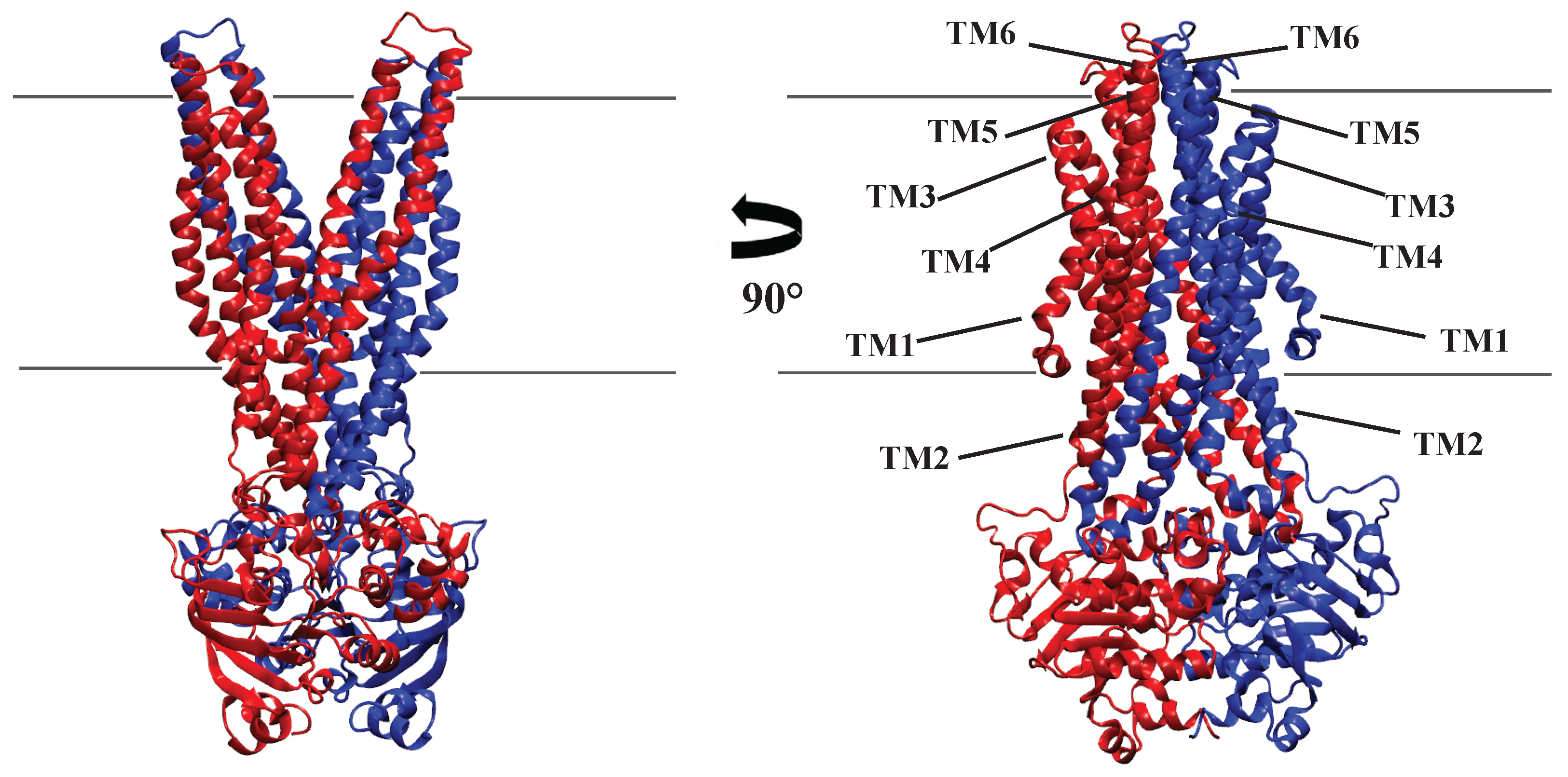 Membranes 13 00568 g006
