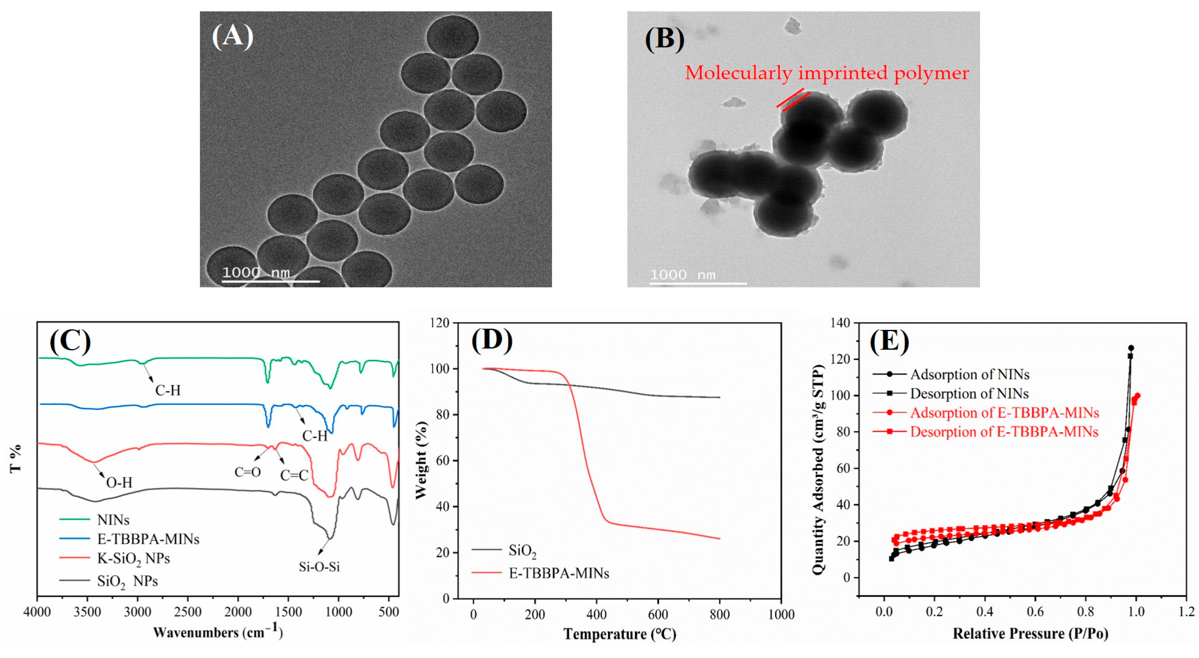 Membranes 13 00571 g002