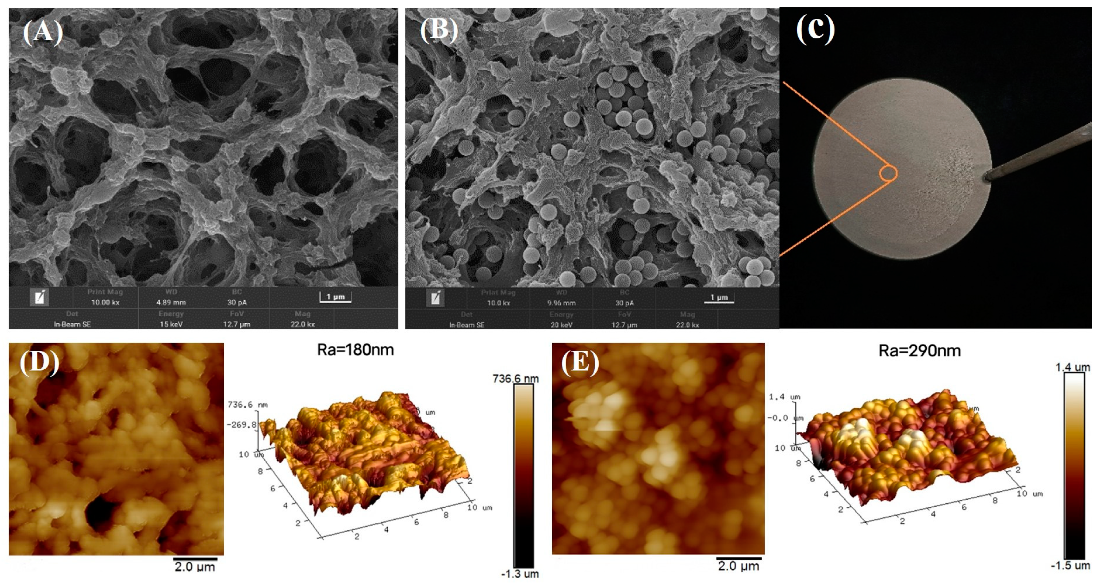 Membranes 13 00571 g003