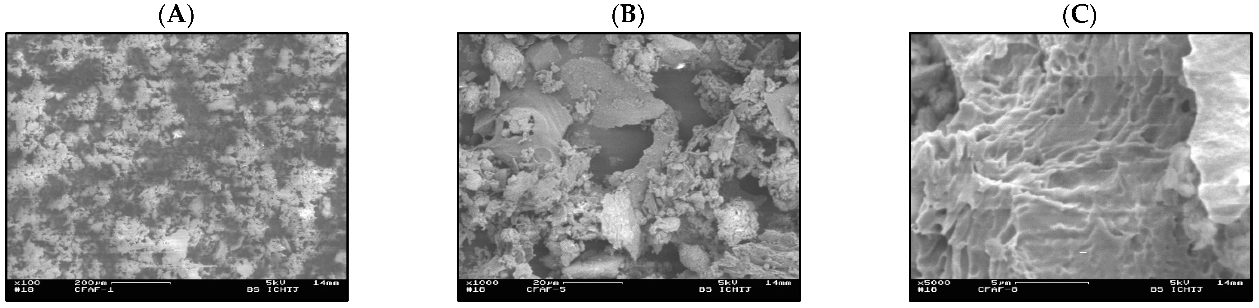 Membranes 13 00572 g002 Membranes 13 00572 g002