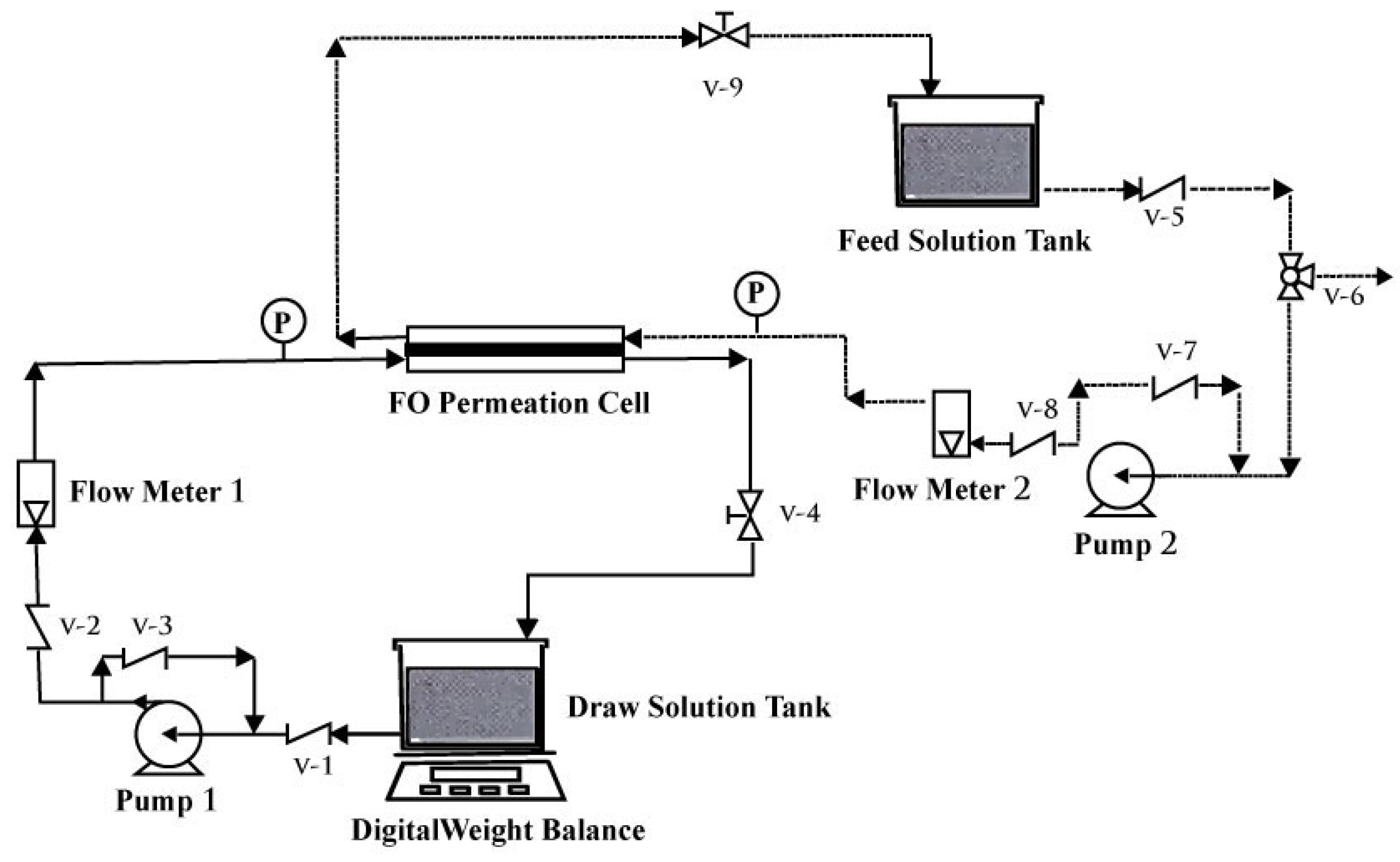 Membranes 13 00577 g001