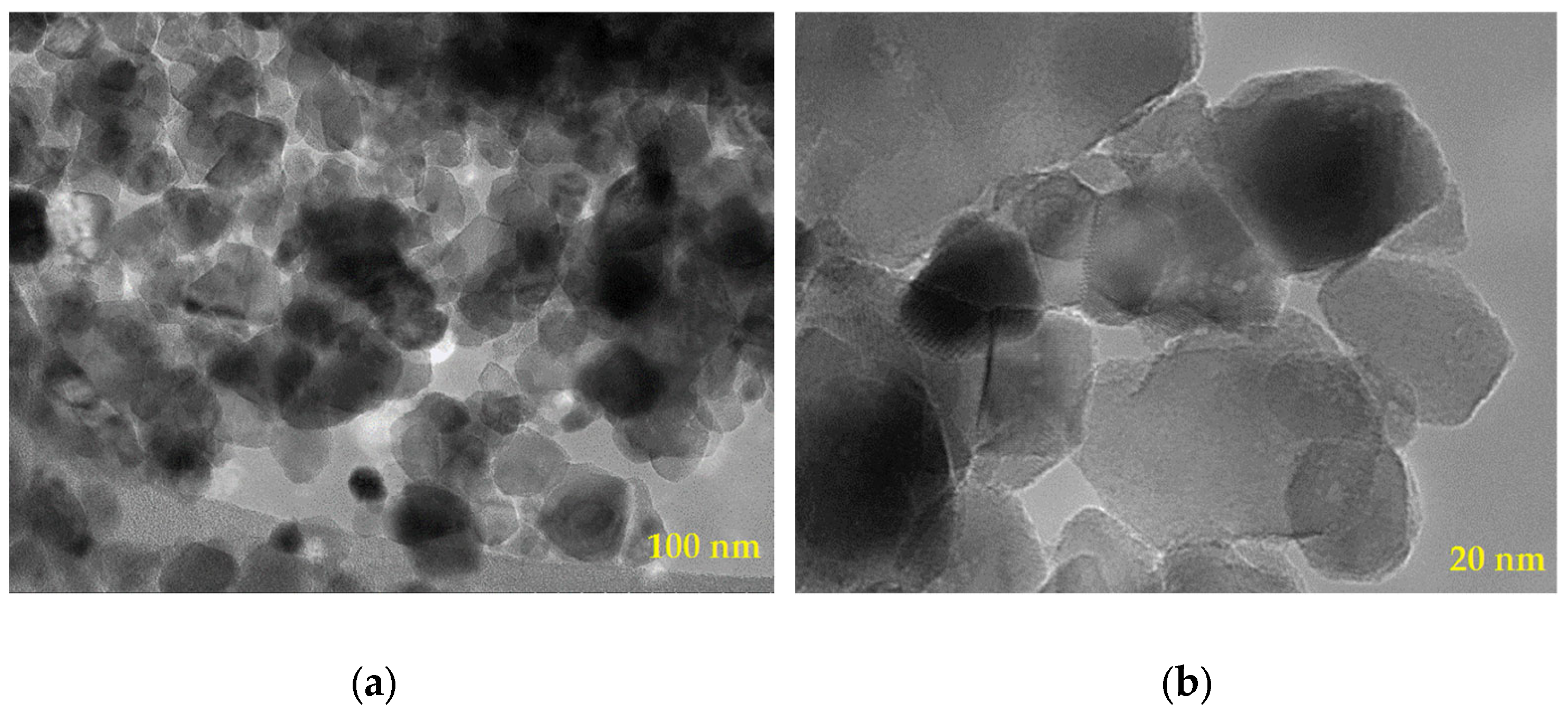 Membranes 13 00577 g002
