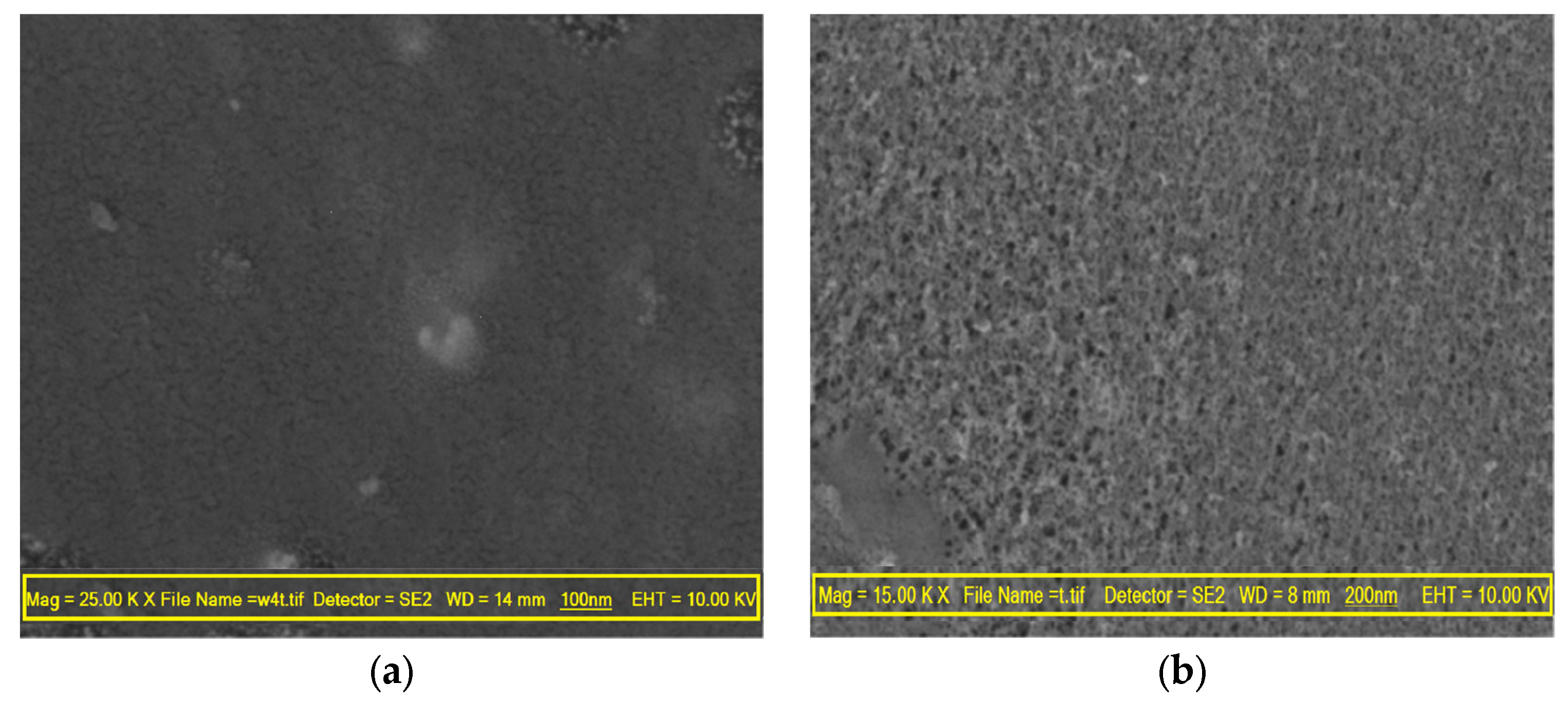 Membranes 13 00577 g005a