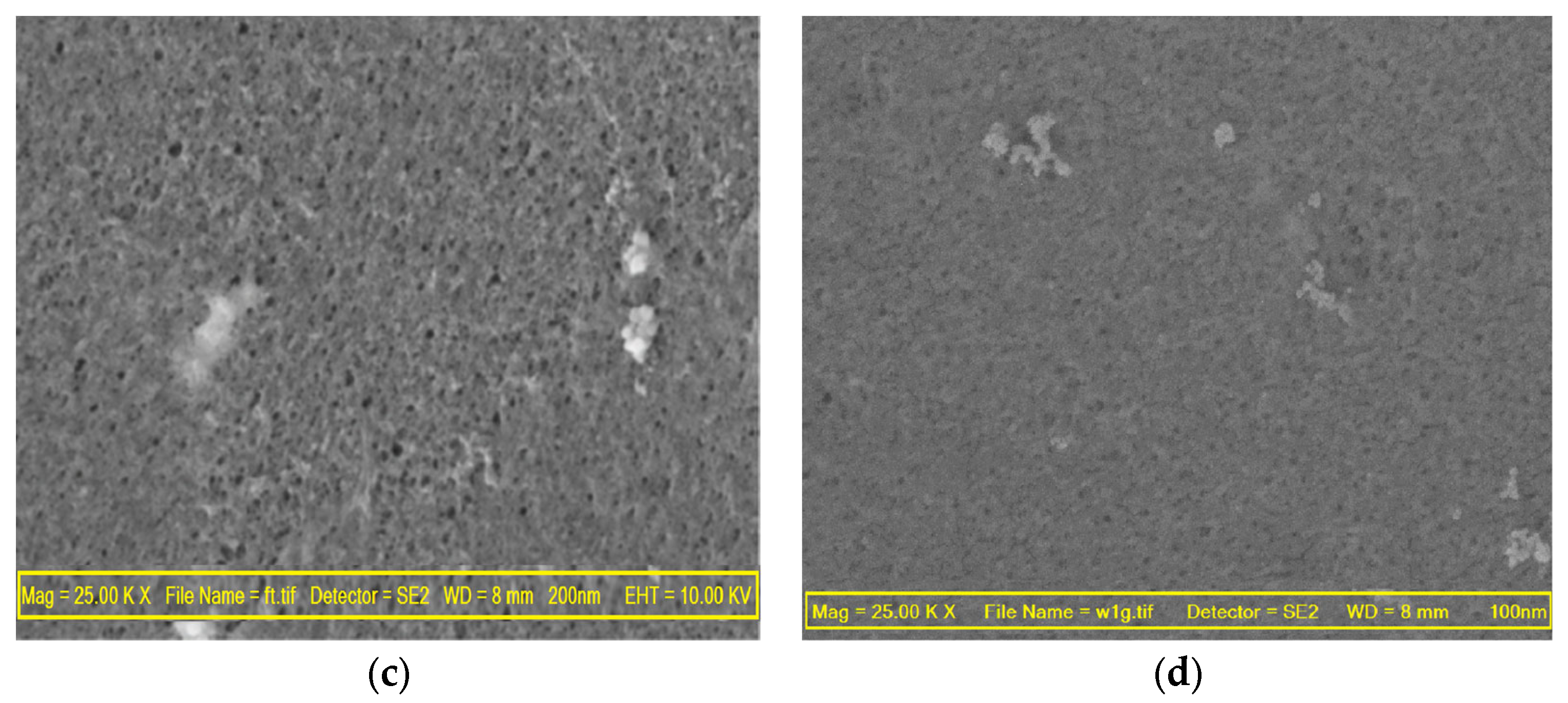 Membranes 13 00577 g005b
