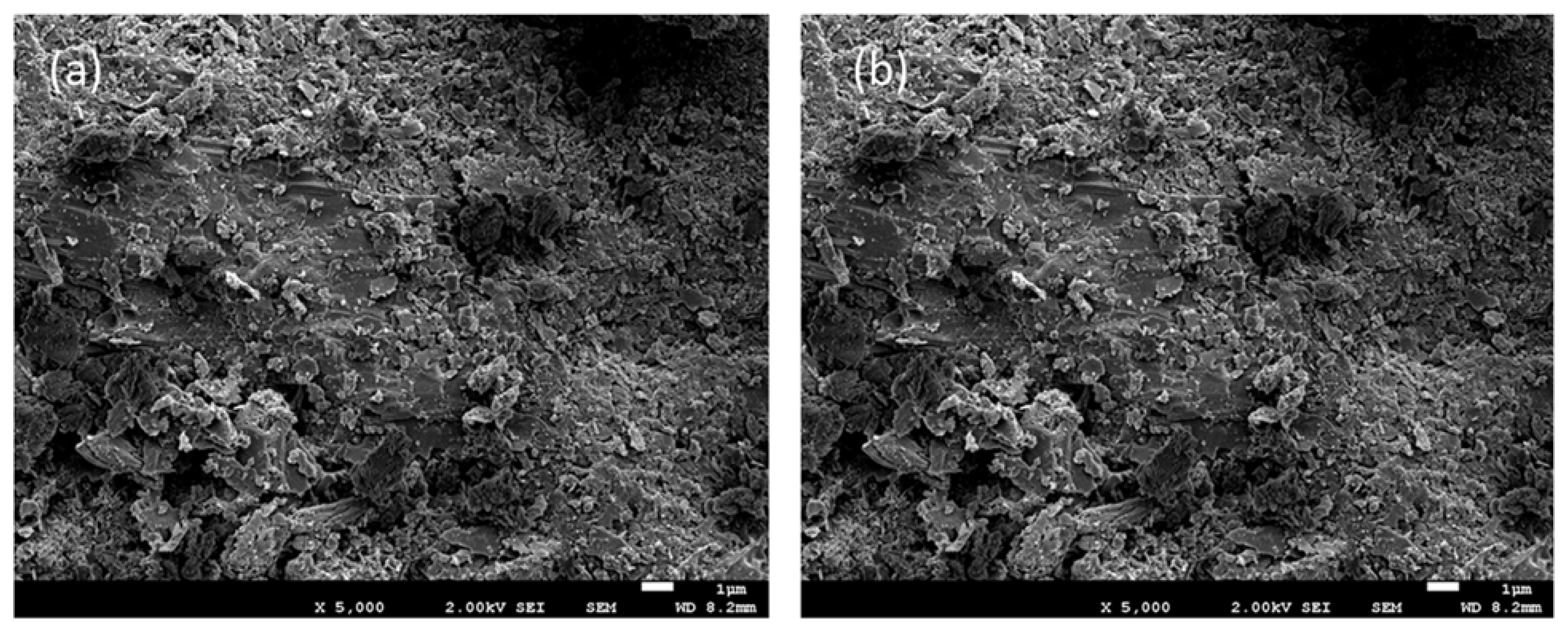 Membranes 13 00580 g005a Membranes 13 00580 g005a