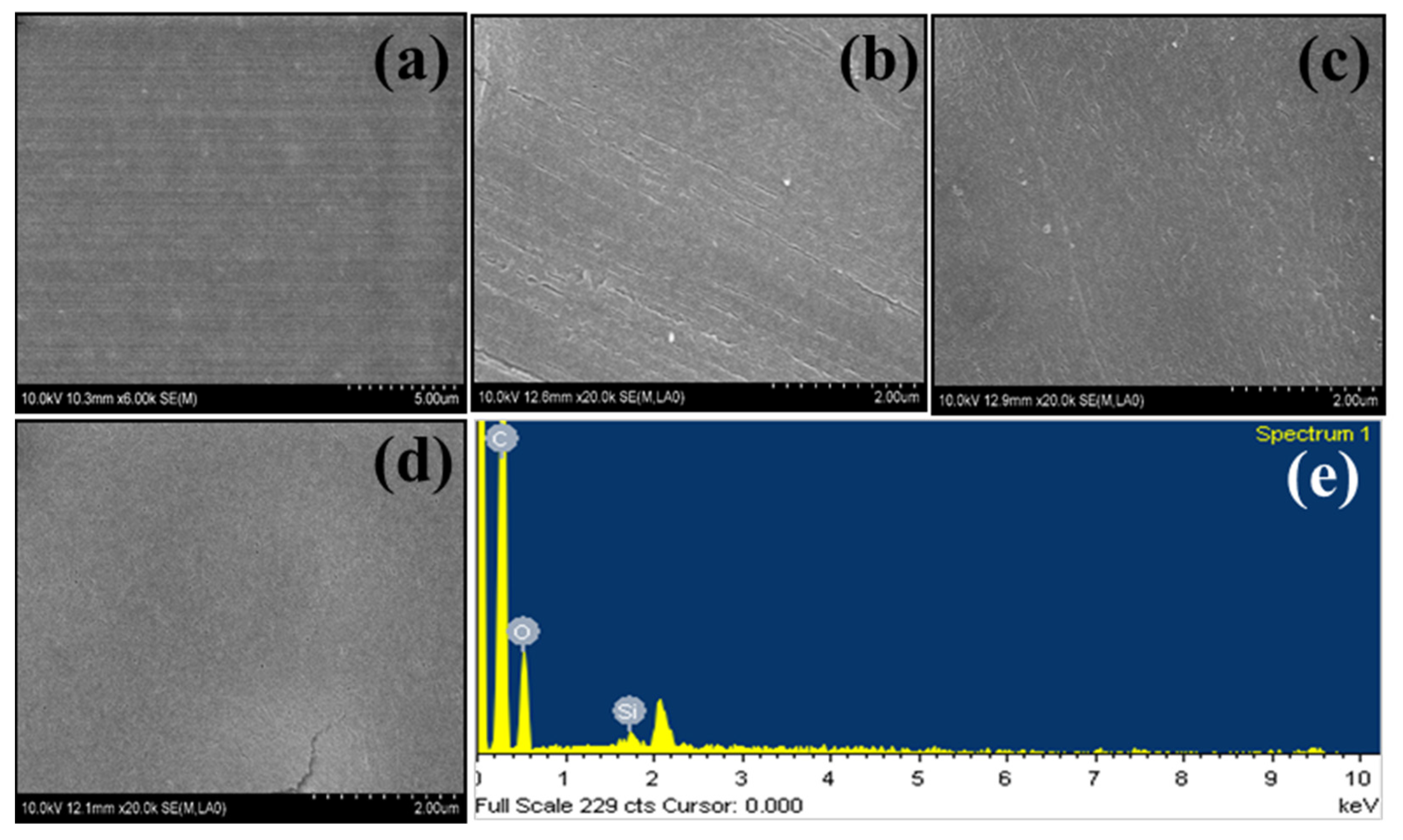 Membranes 13 00581 g003
