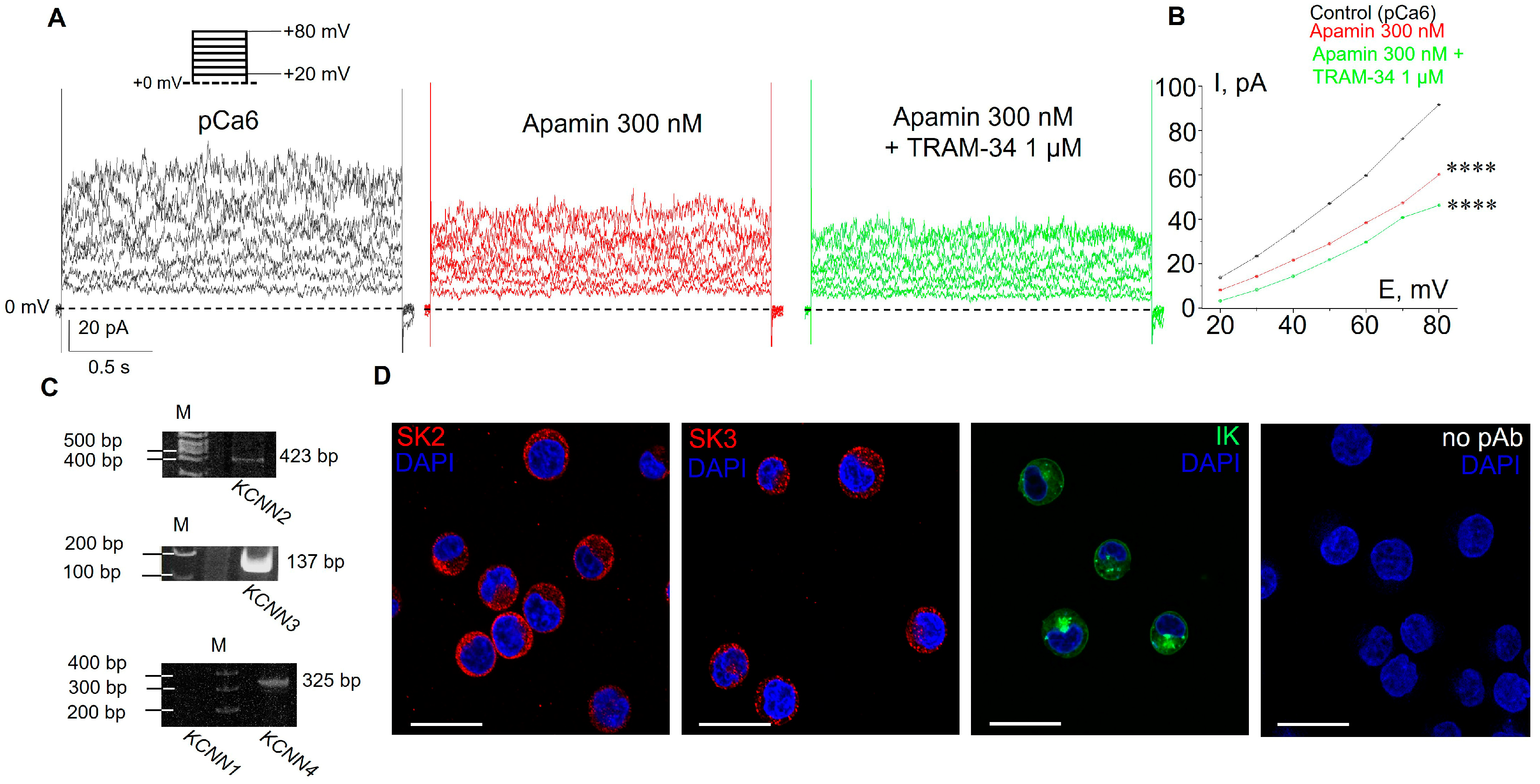 Membranes 13 00583 g001