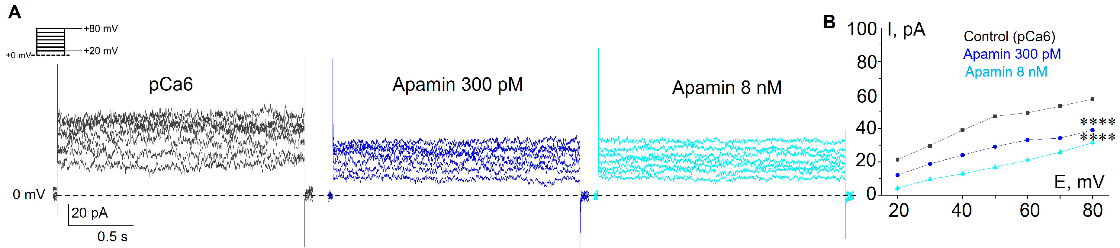 Membranes 13 00583 g002