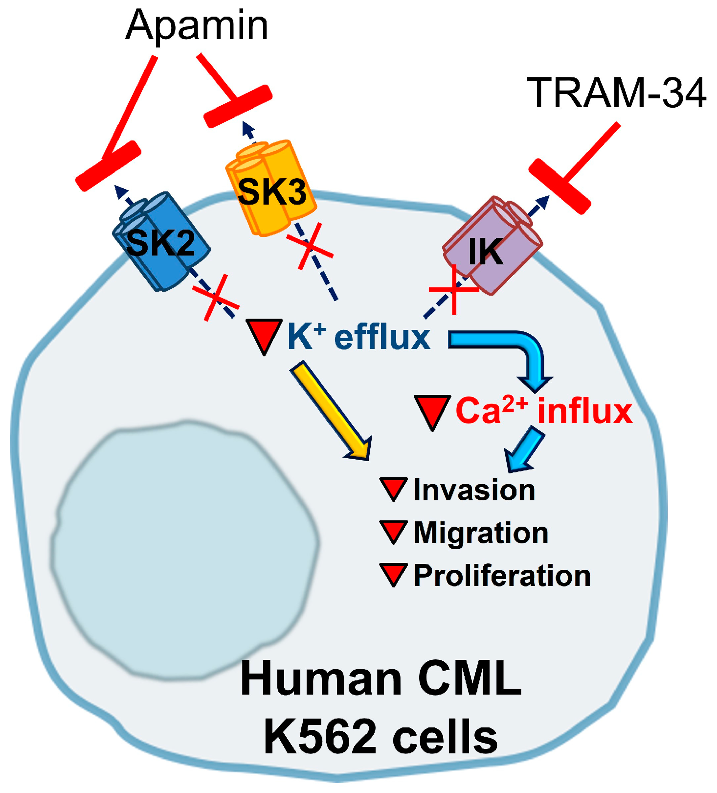Membranes 13 00583 g006
