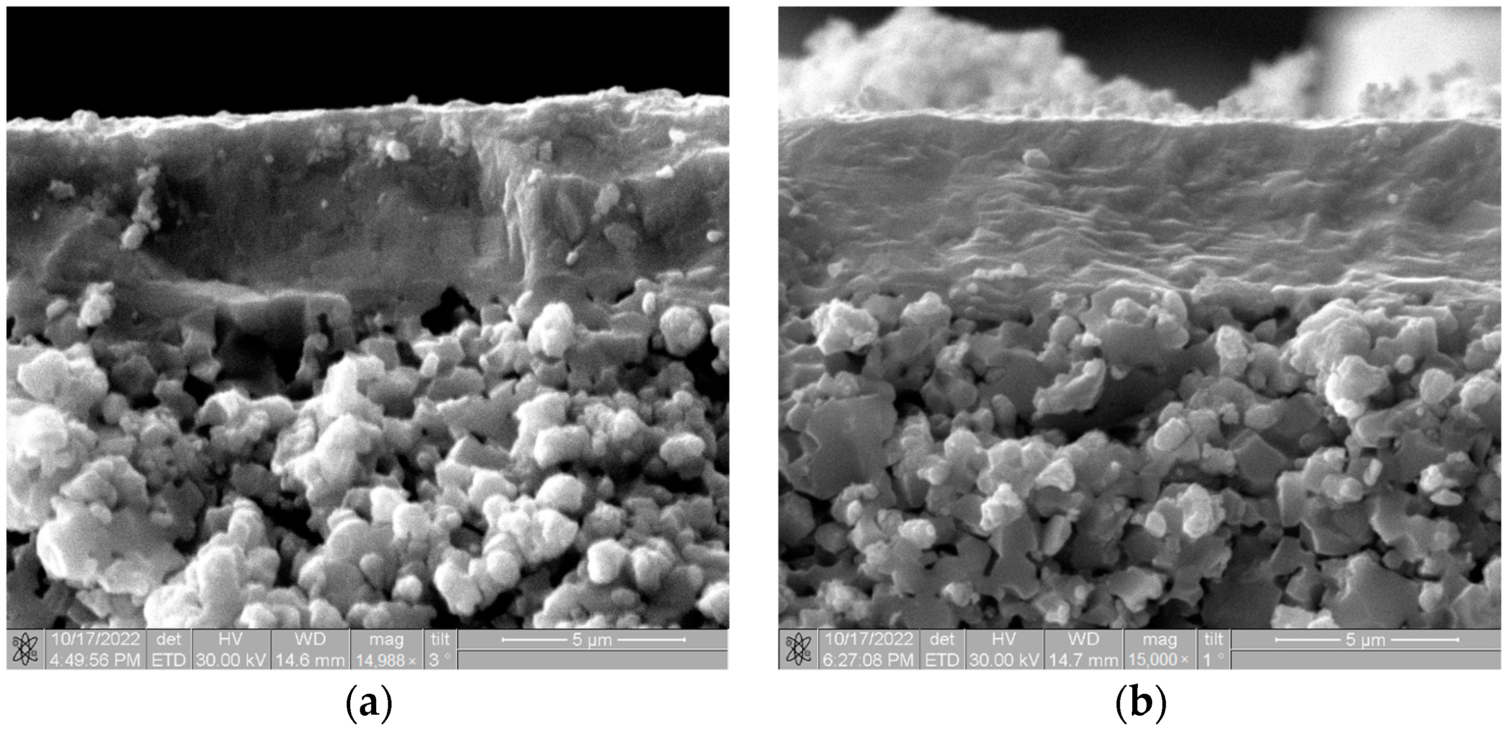 Membranes 13 00585 g002