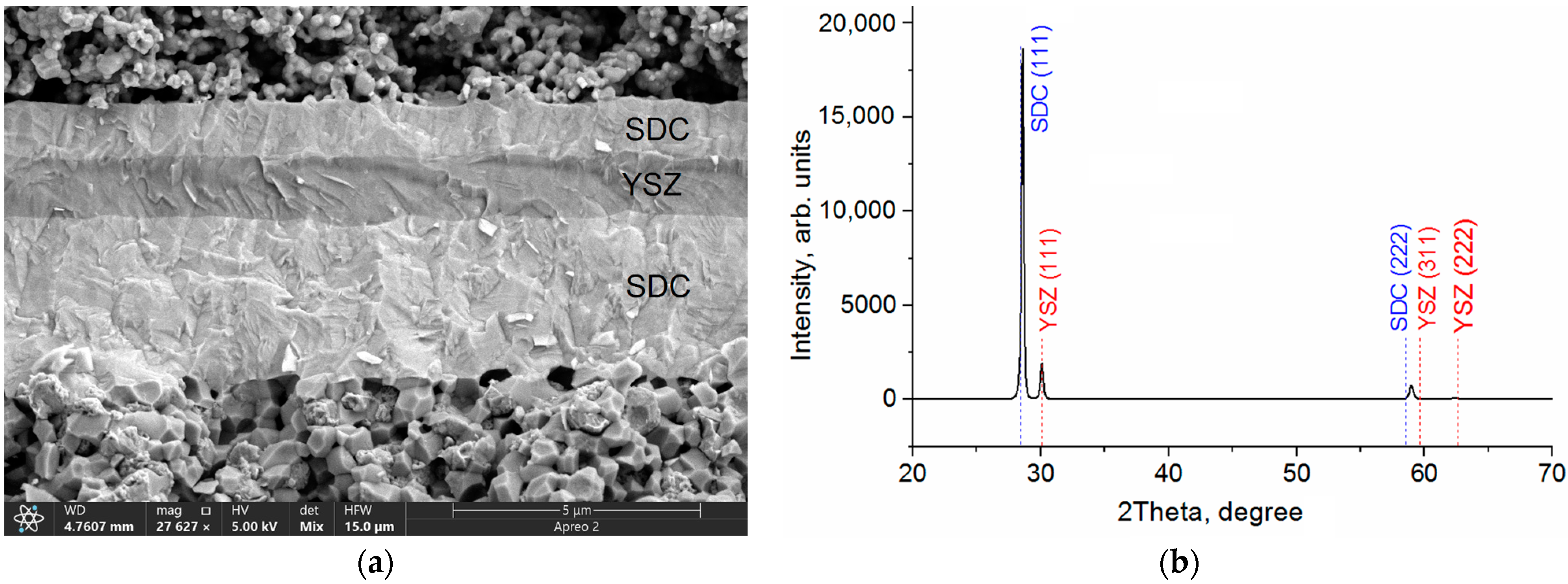 Membranes 13 00585 g005