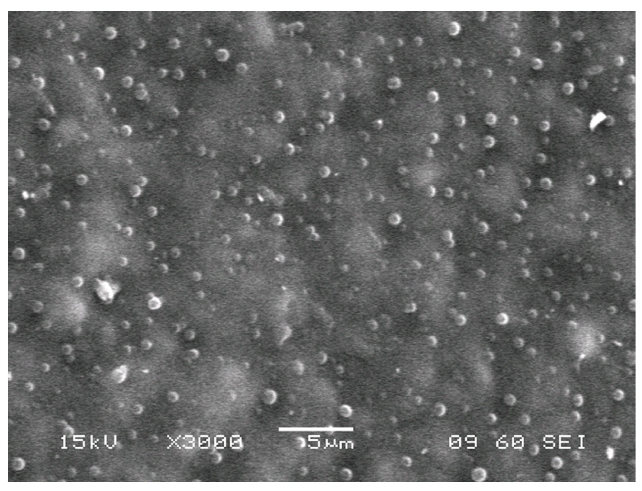 Membranes 13 00587 g005