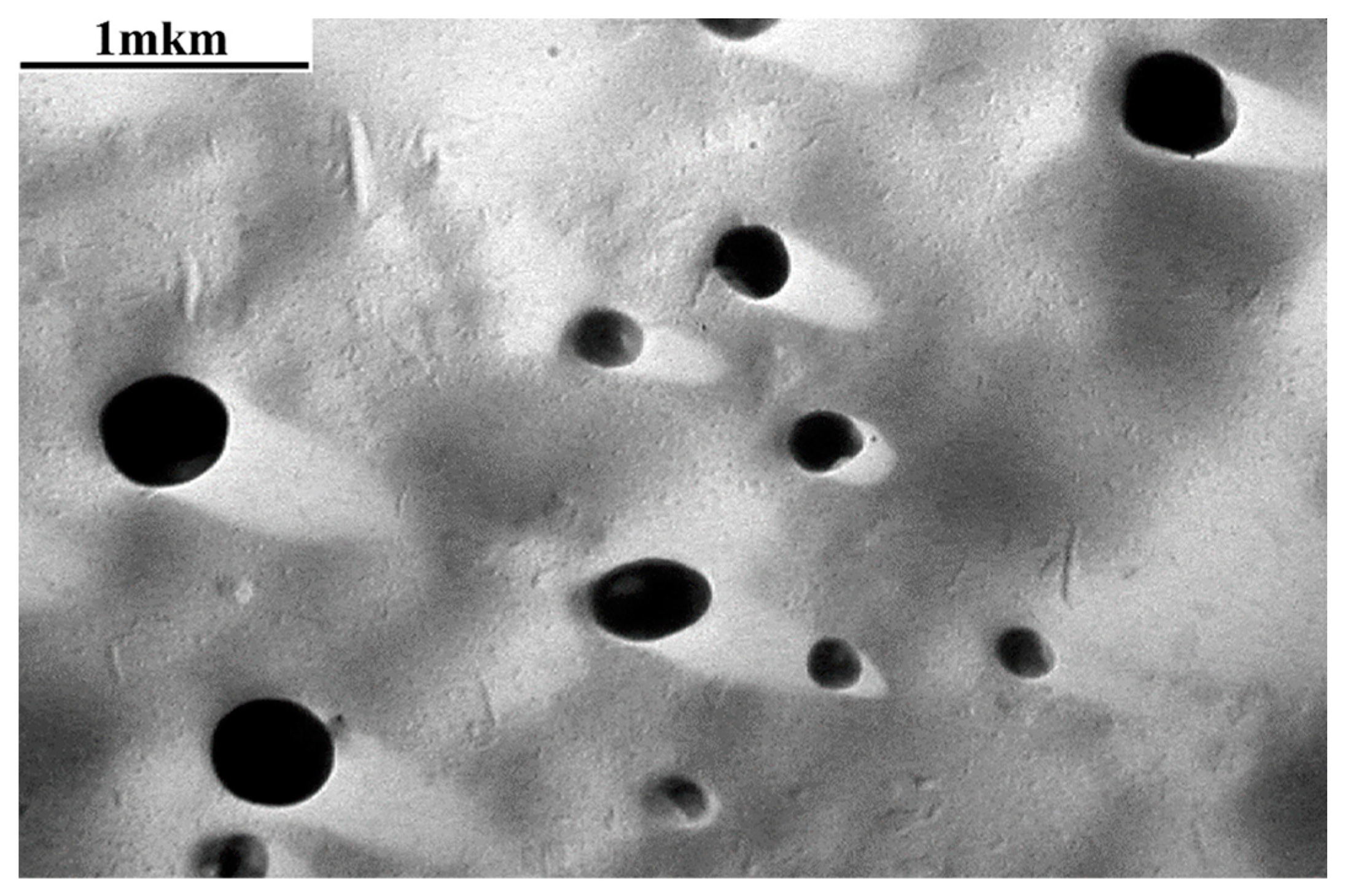 Membranes 13 00587 g006