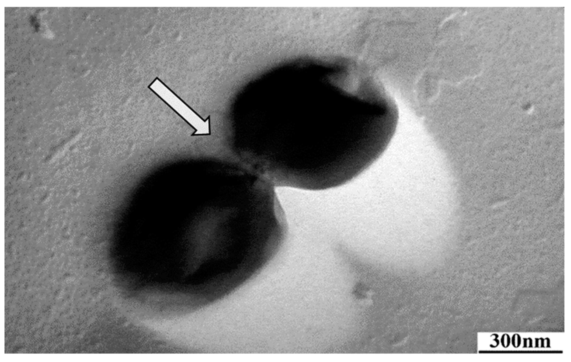 Membranes 13 00587 g009