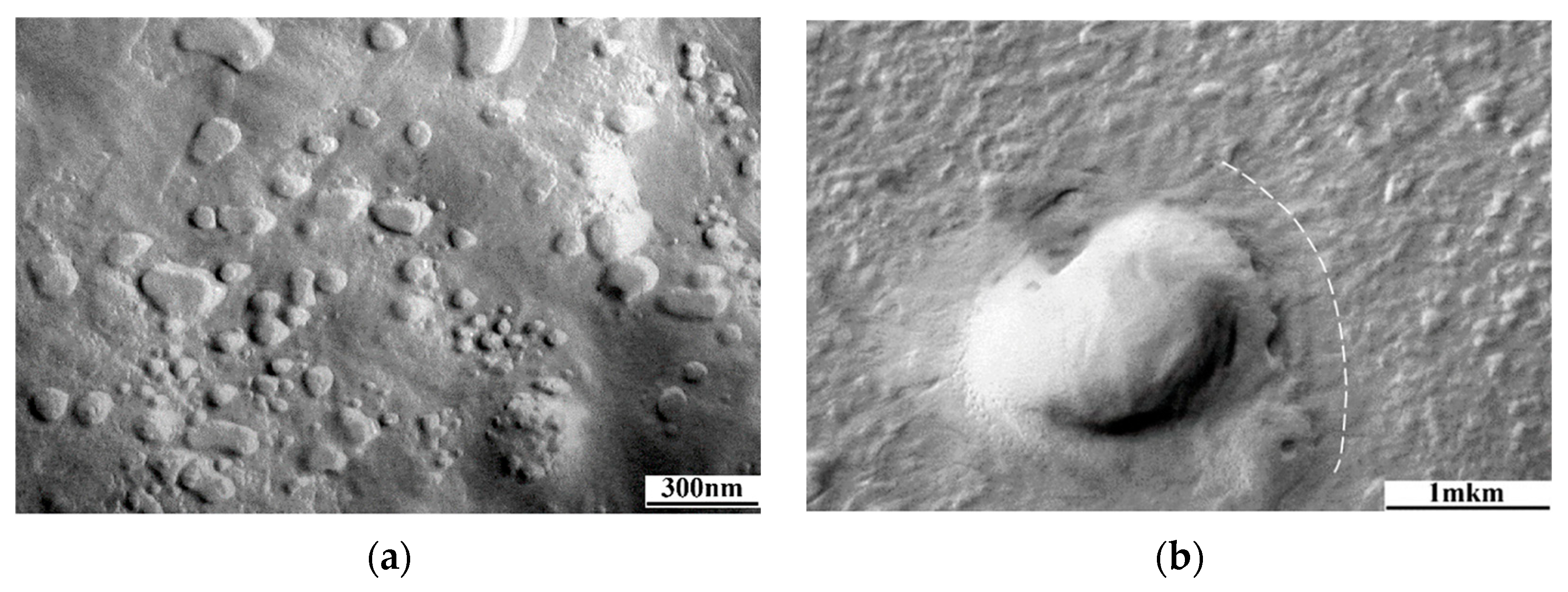 Membranes 13 00587 g010