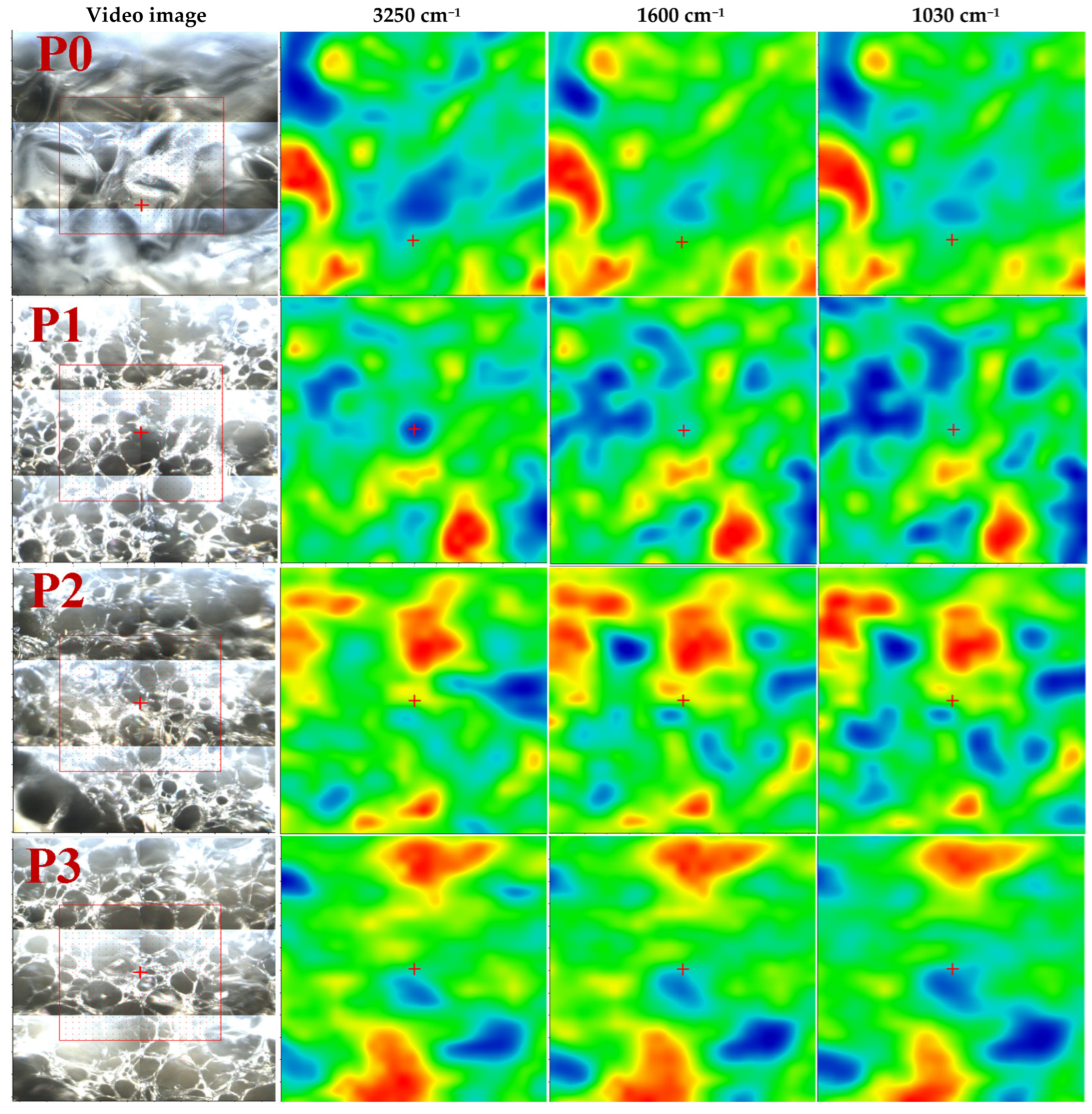 Membranes 13 00591 g003a