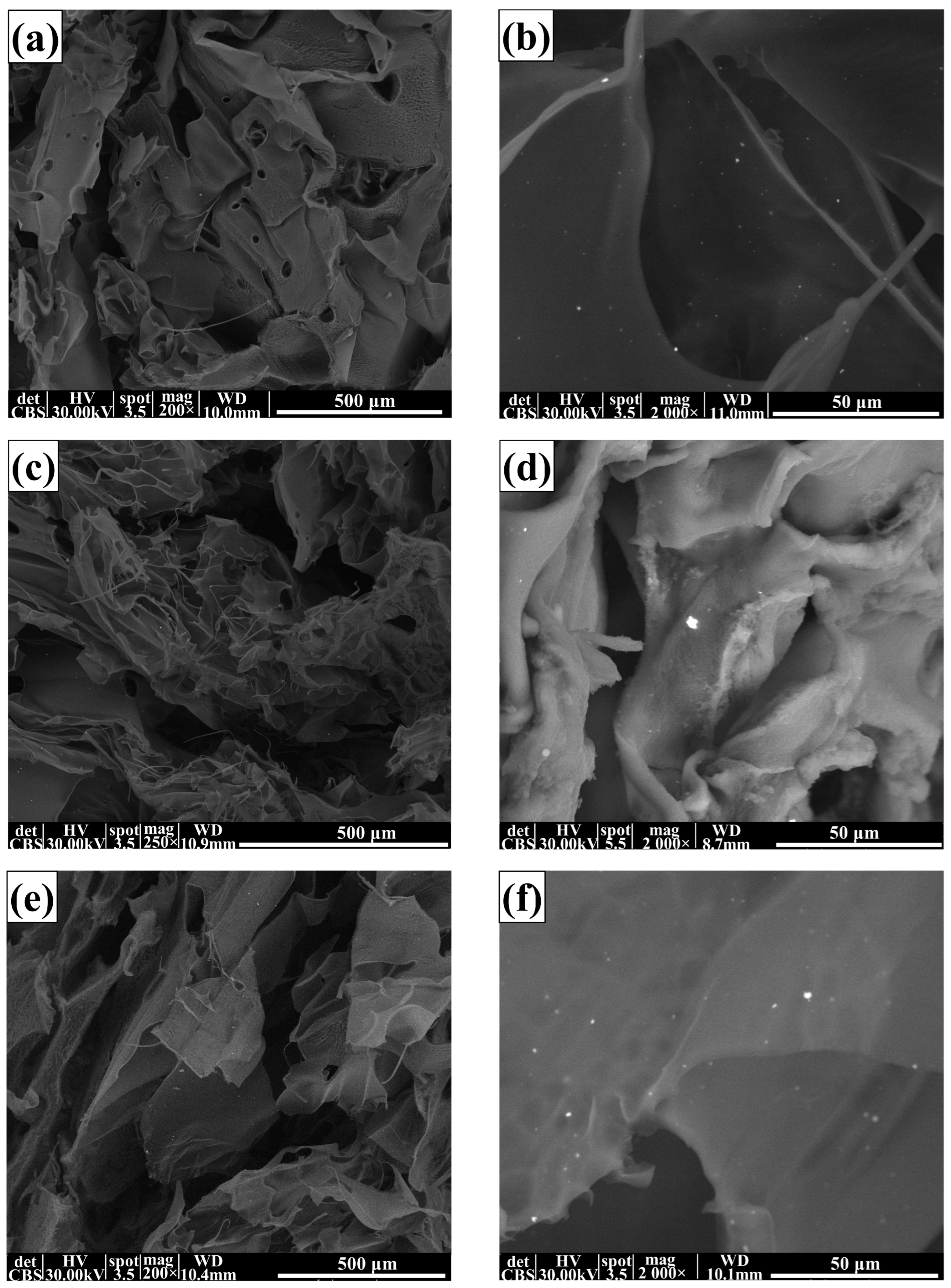 Membranes 13 00591 g004a
