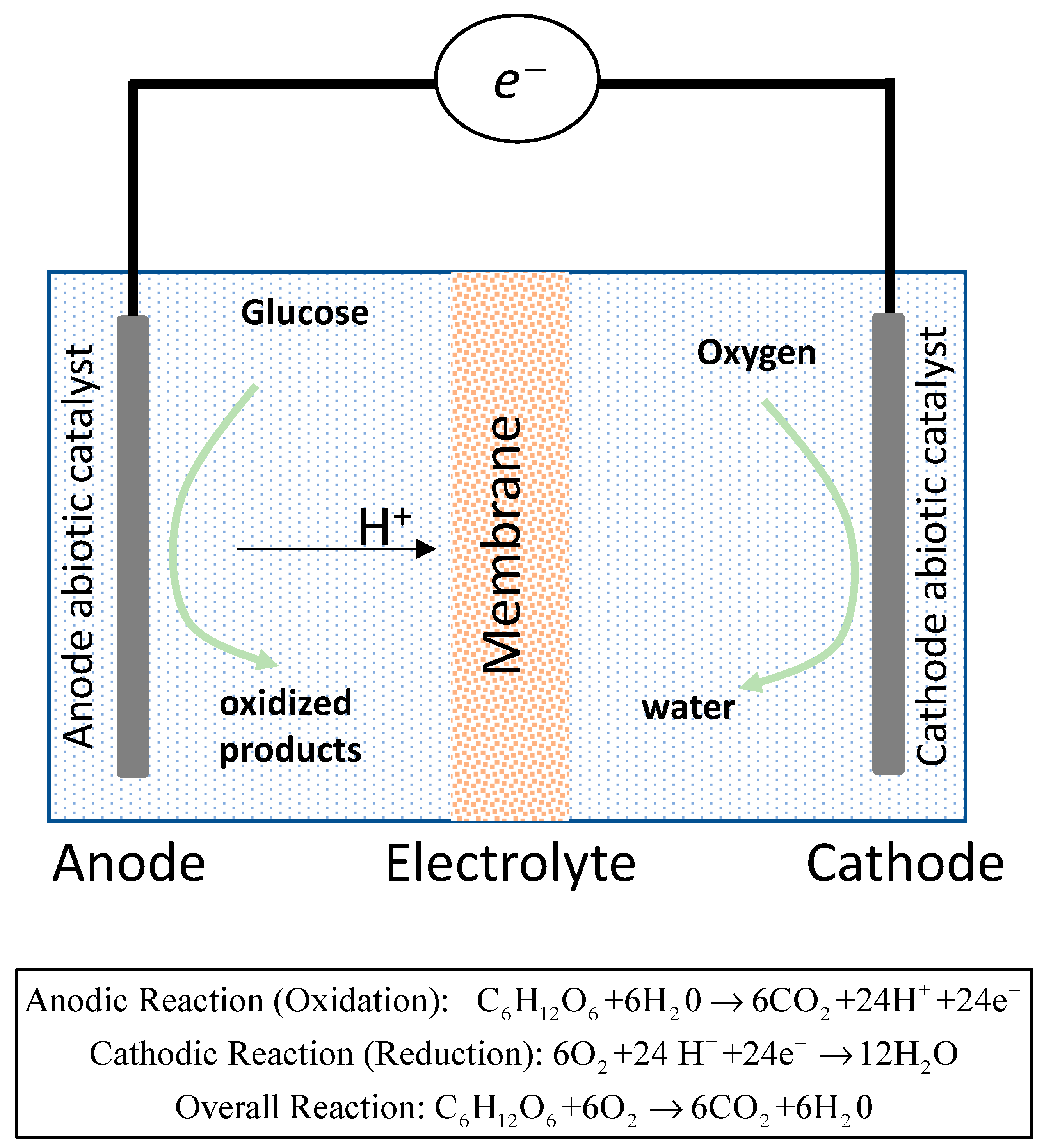 Membranes 13 00592 g001
