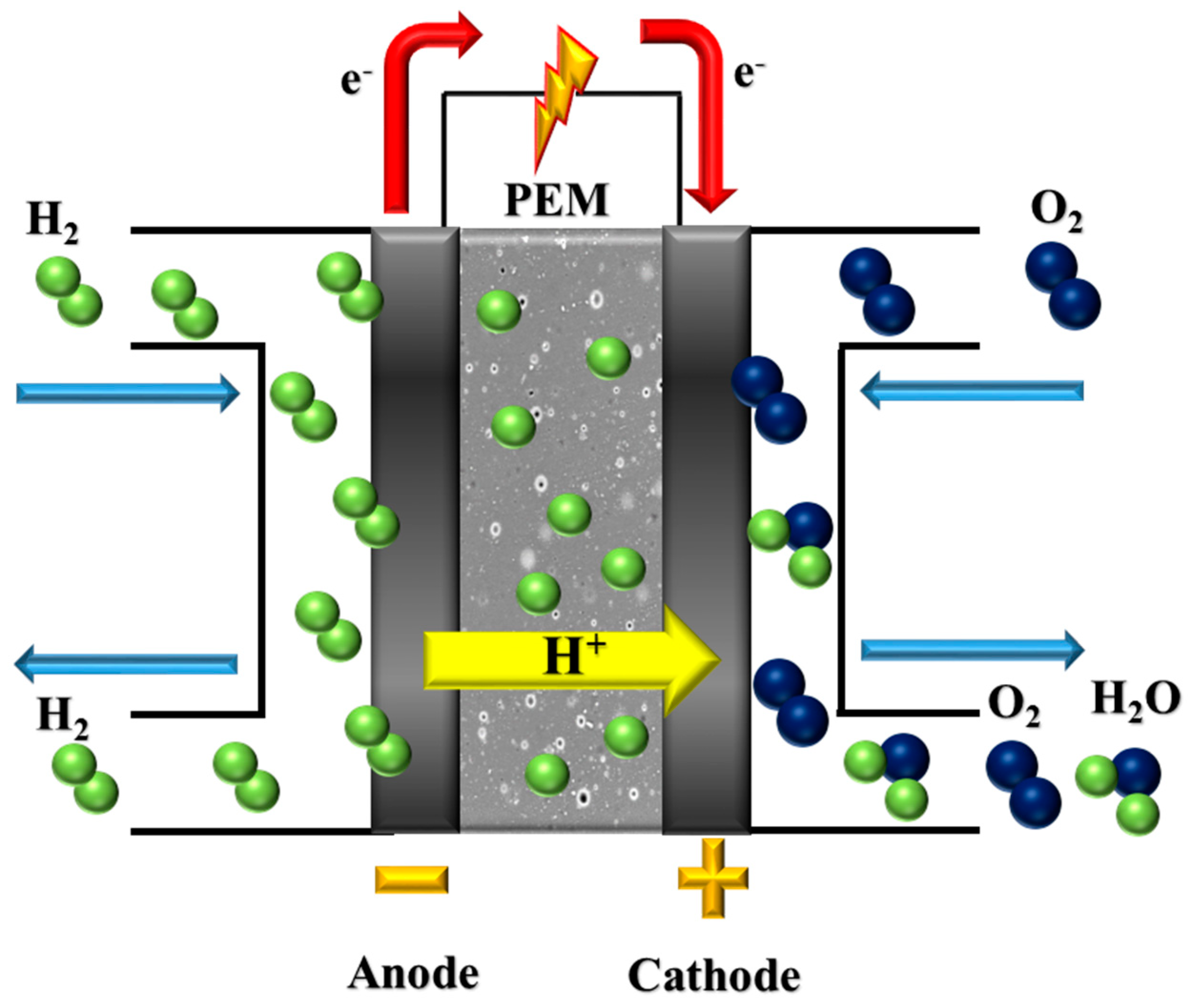 Membranes 13 00593 g001