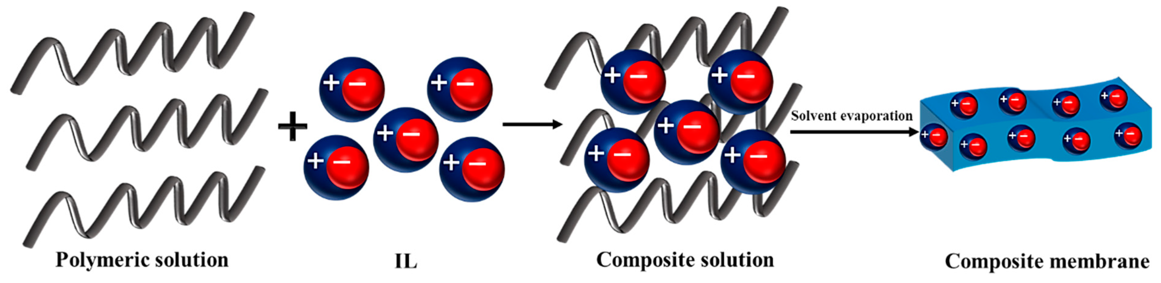 Membranes 13 00593 g003
