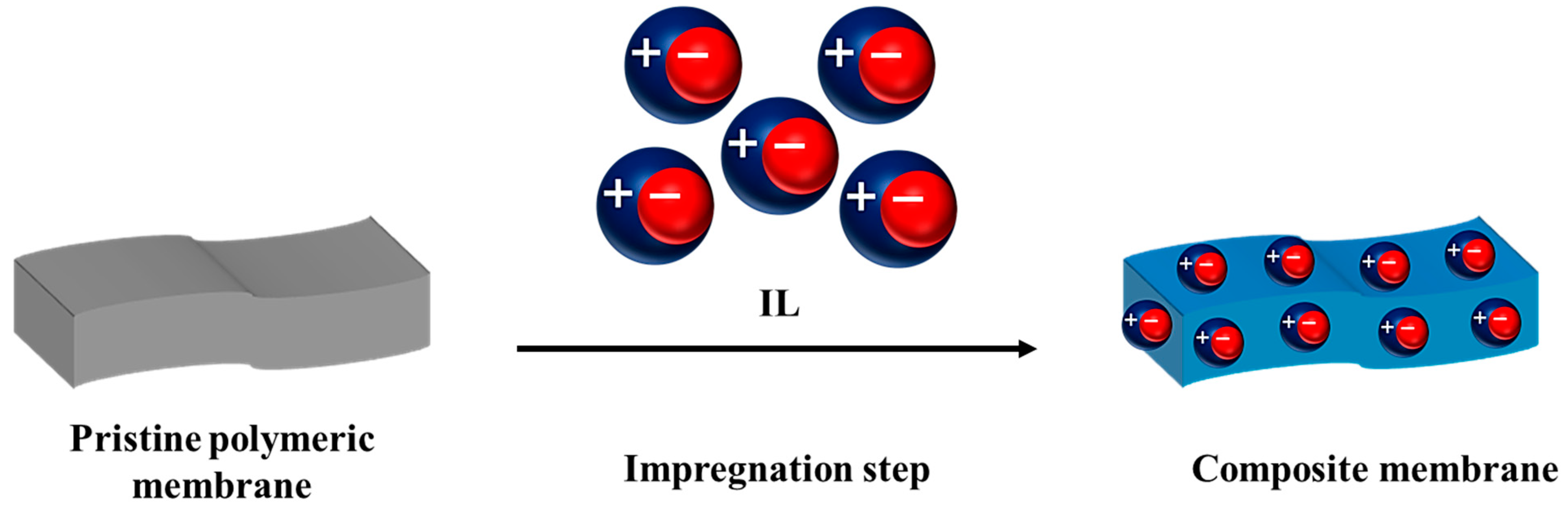 Membranes 13 00593 g004