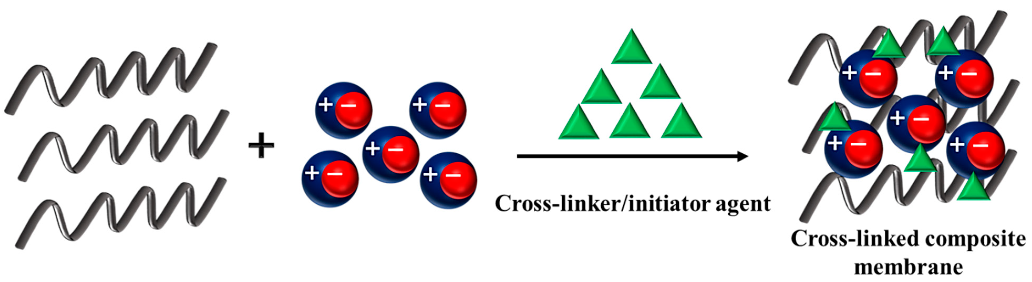 Membranes 13 00593 g005