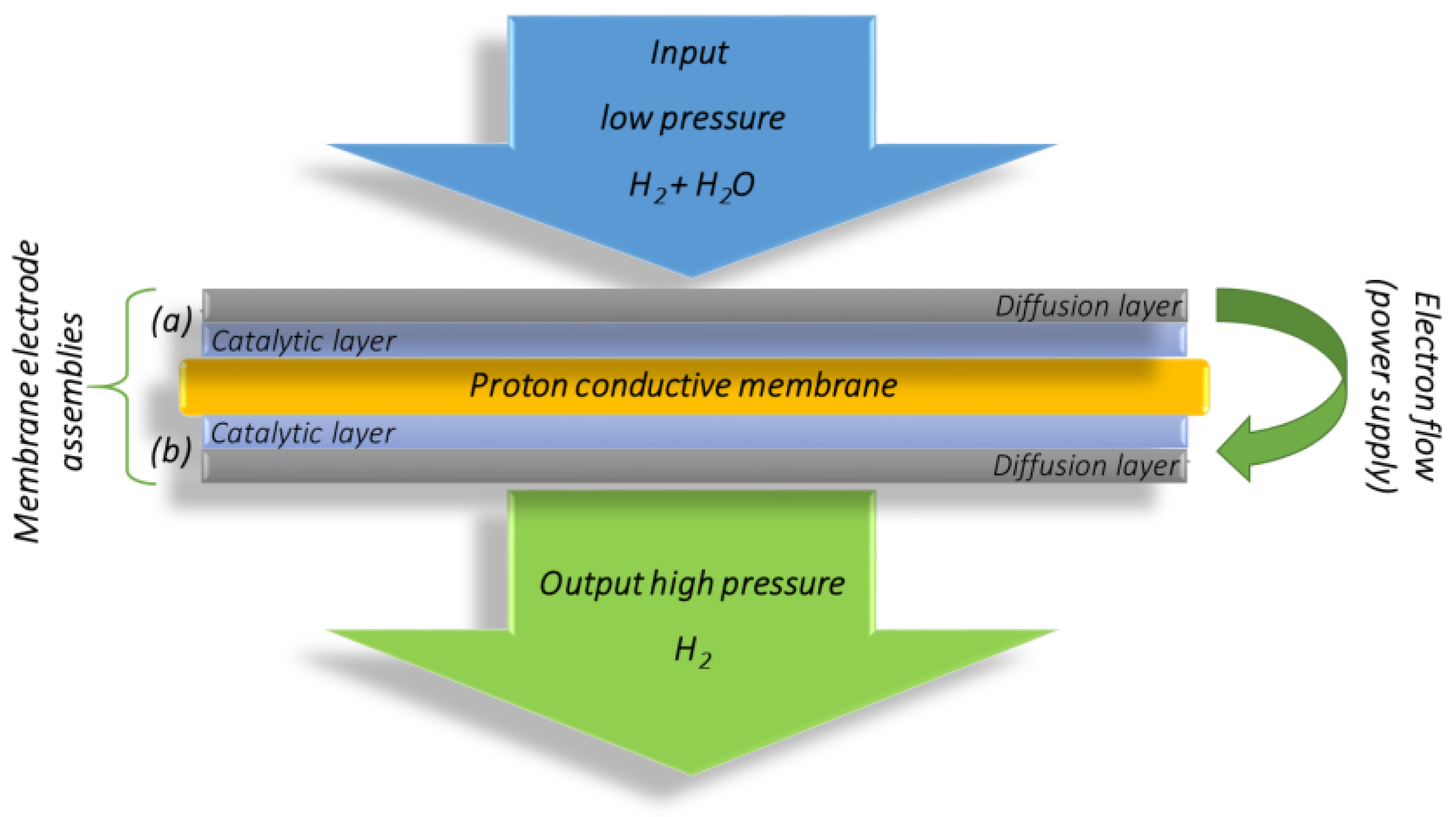 Membranes 13 00594 g001